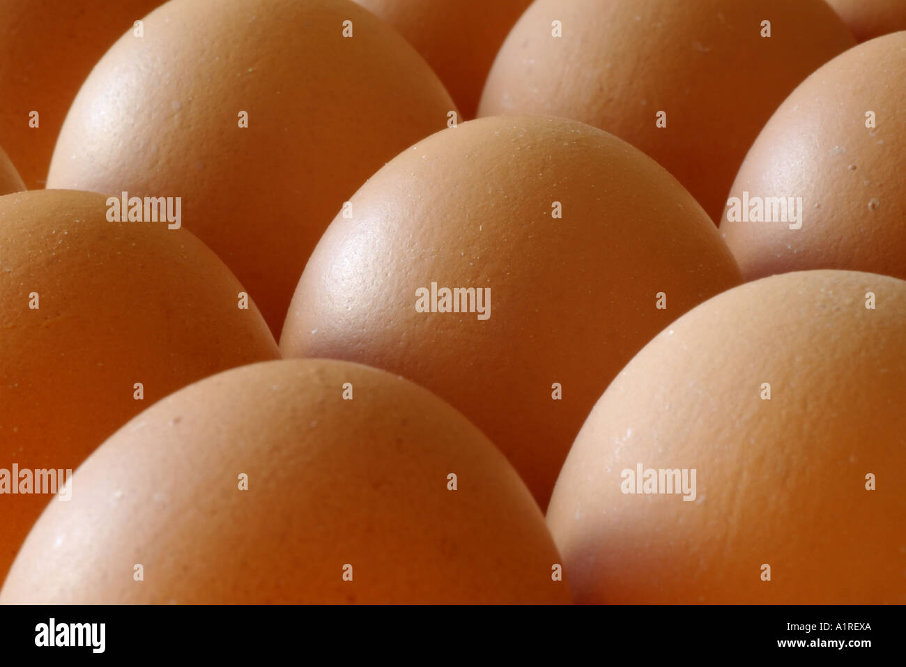 Braunen Eiern, close-up. Hinweis: Fokus auf das Ei in der Mitte. Stockfoto