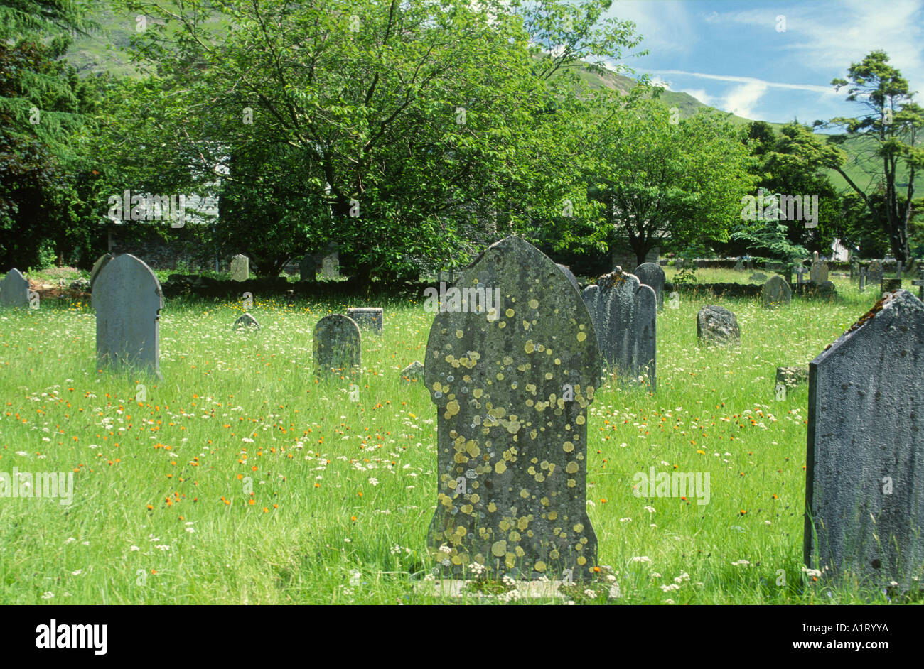 Land-Friedhof mit abwechslungsreichen Flora Cumbria Stockfoto