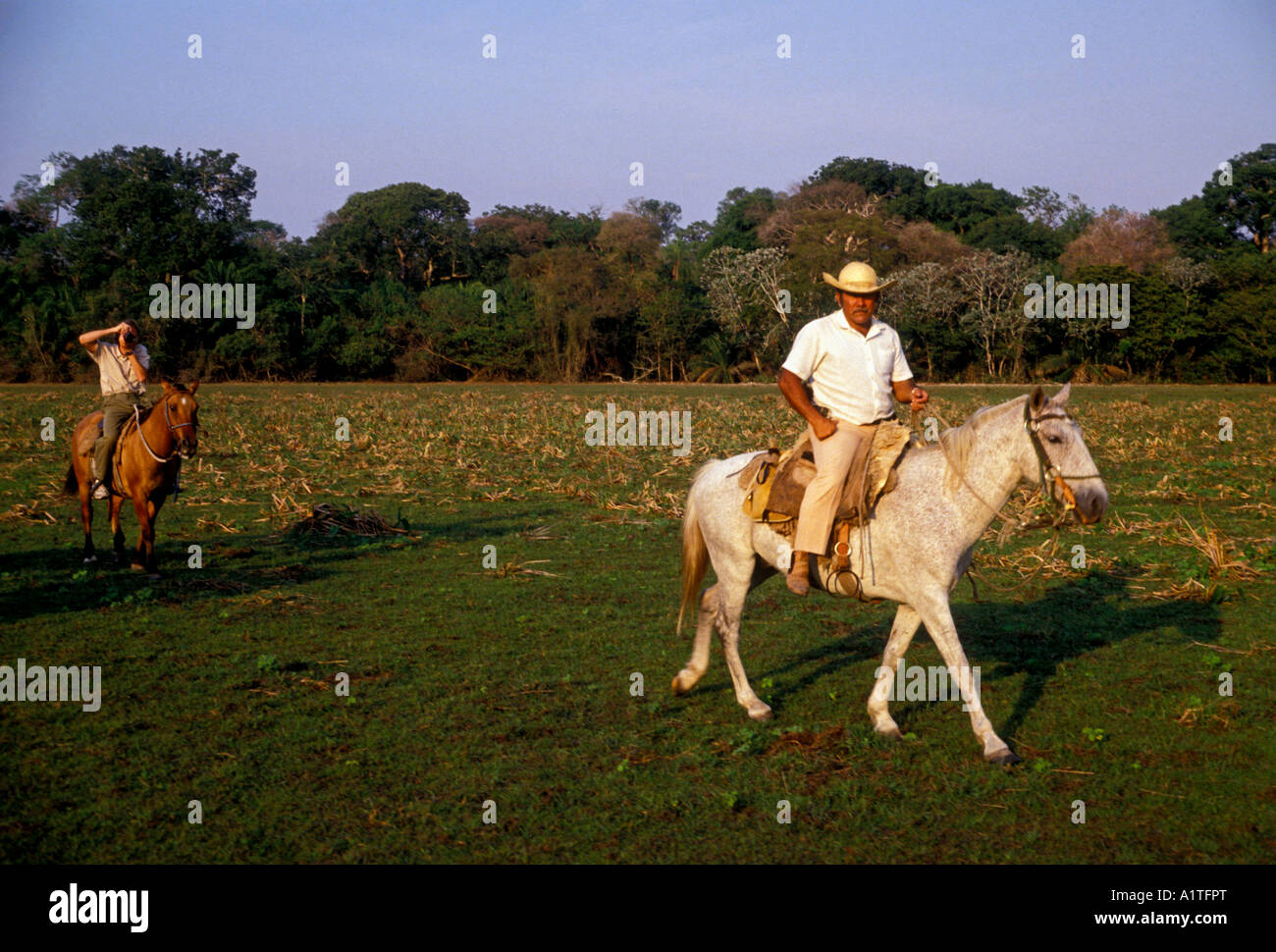 Brasilianischen Mann, pantaneiro, Cowboy auf Pferd, Kaiman ökologische Zuflucht, Pantanal, Mato Grosso Sul Zustand, Brasilien, Südamerika Stockfoto