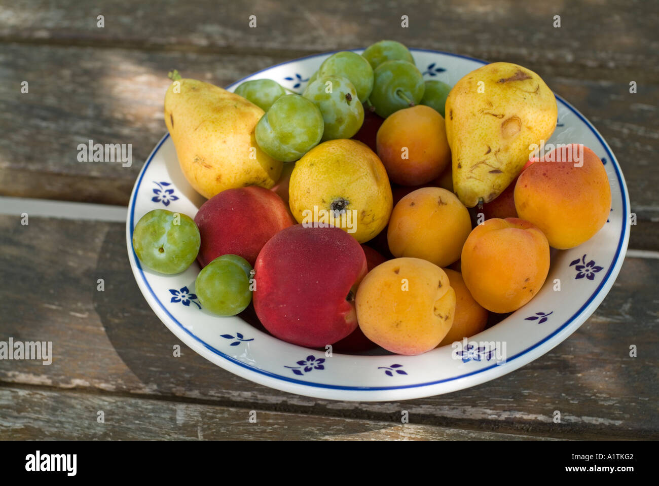 Schale mit Obst Stockfoto