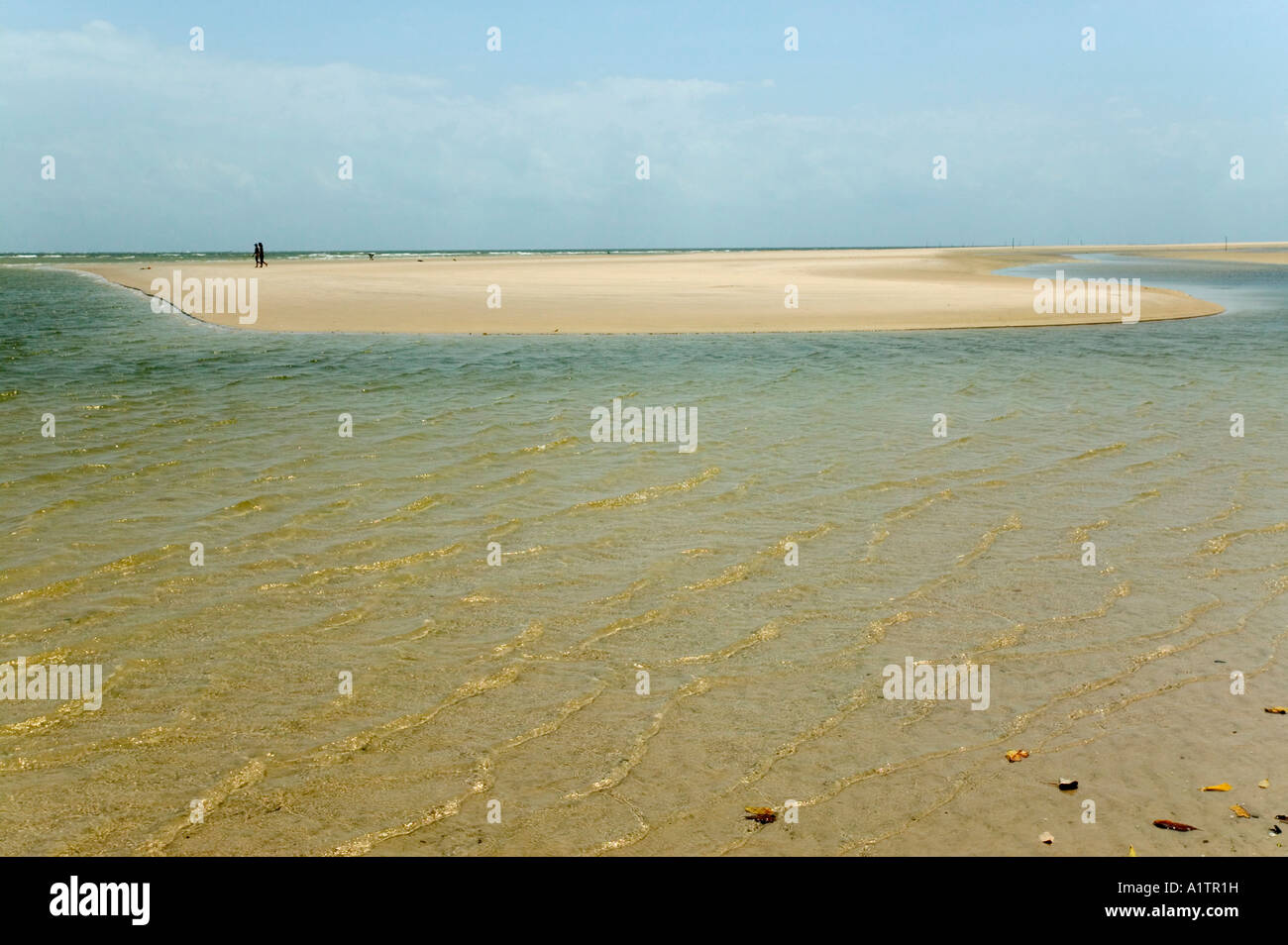 Eine Sandbank und Strand an der Mündung des Amazonas Araruna Marajó Insel Para Brasilien Stockfoto