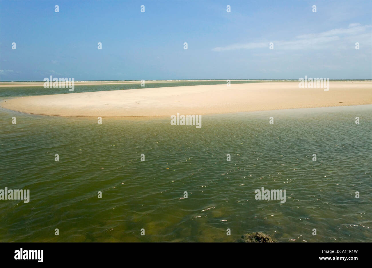 Eine Sandbank und Strand an der Mündung des Amazonas Araruna Marajó Insel Para Brasilien Stockfoto