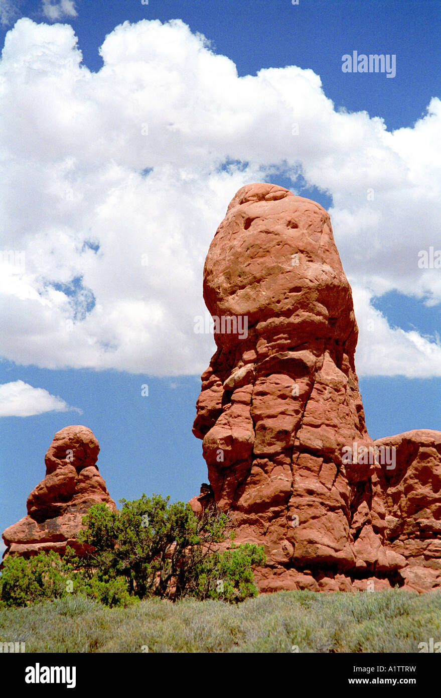 Arches-Nationalpark, Utah, USA. Stockfoto