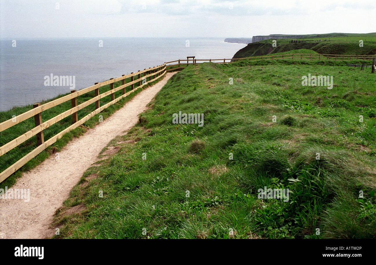 Die Königliche Gesellschaft für den Schutz der Vögel, Bempton Klippen, East Yorkshire, England, UK Stockfoto