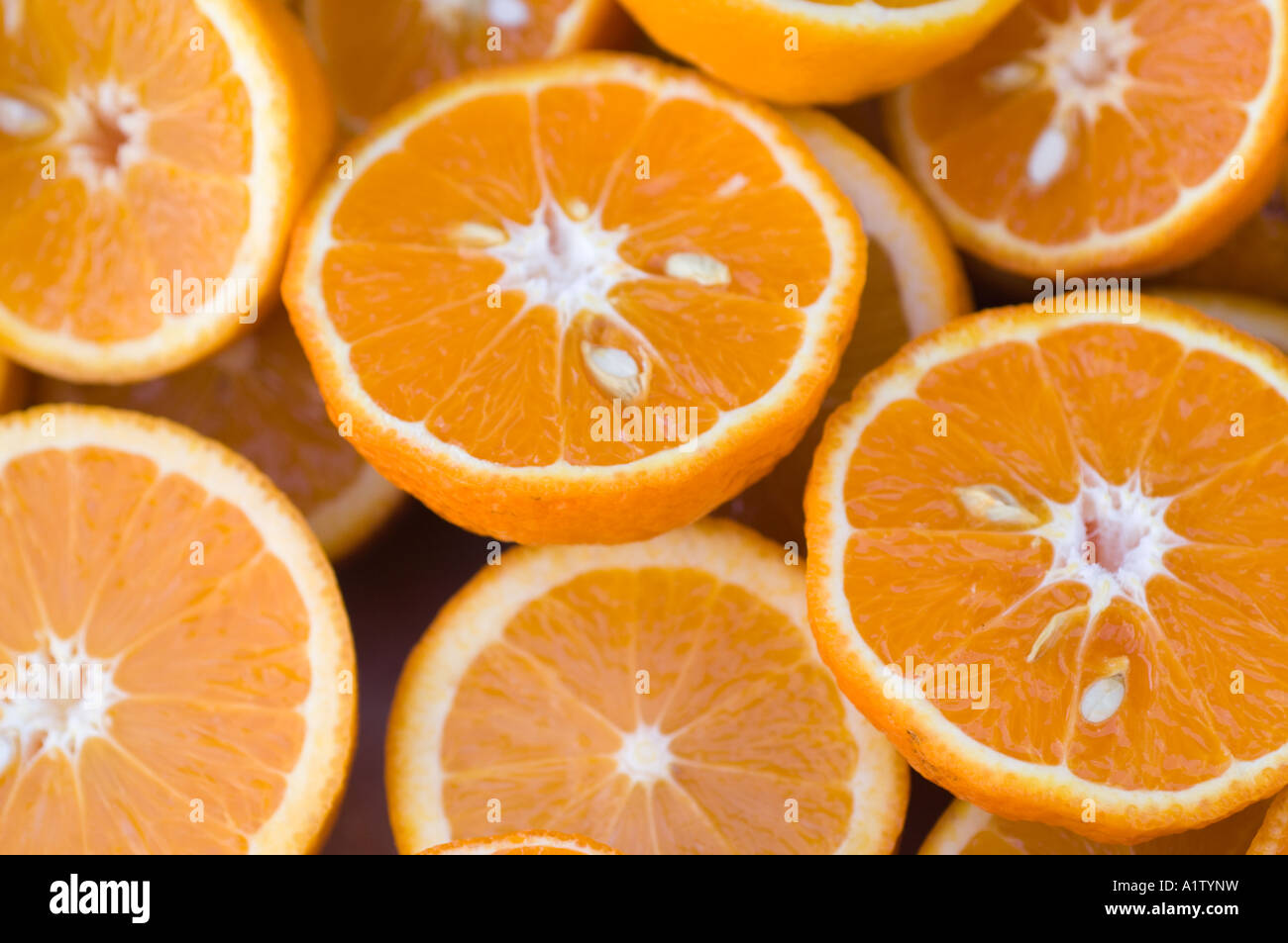 Orangen (Citrus Aurantium) halbieren, Nord-Zypern, Europa Stockfoto