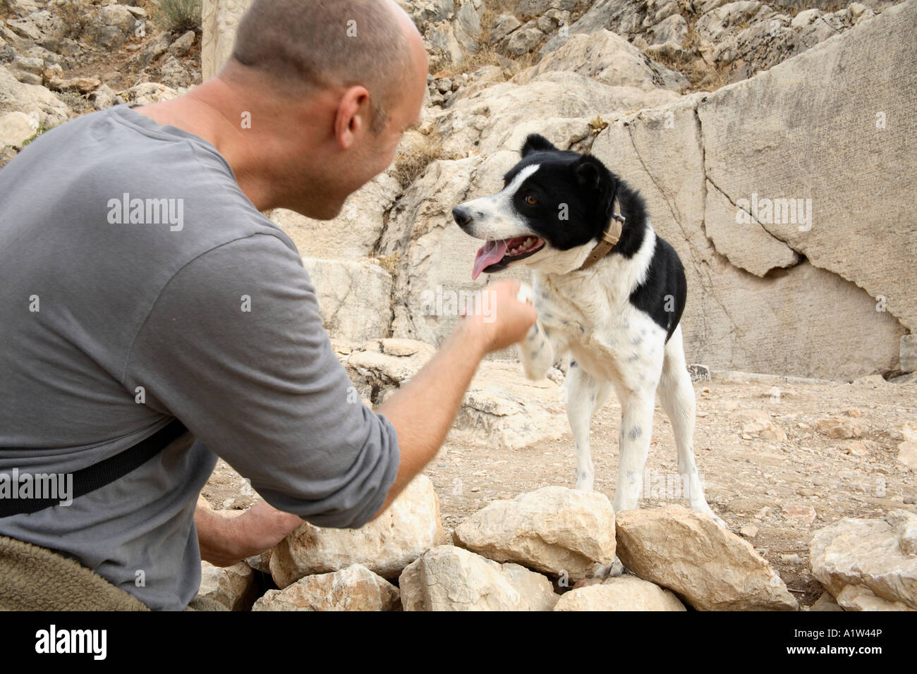 Touristischen Händeschütteln mit schwarzen und weißen Hund. Eski Kale, Anatolien, Türkei Stockfoto
