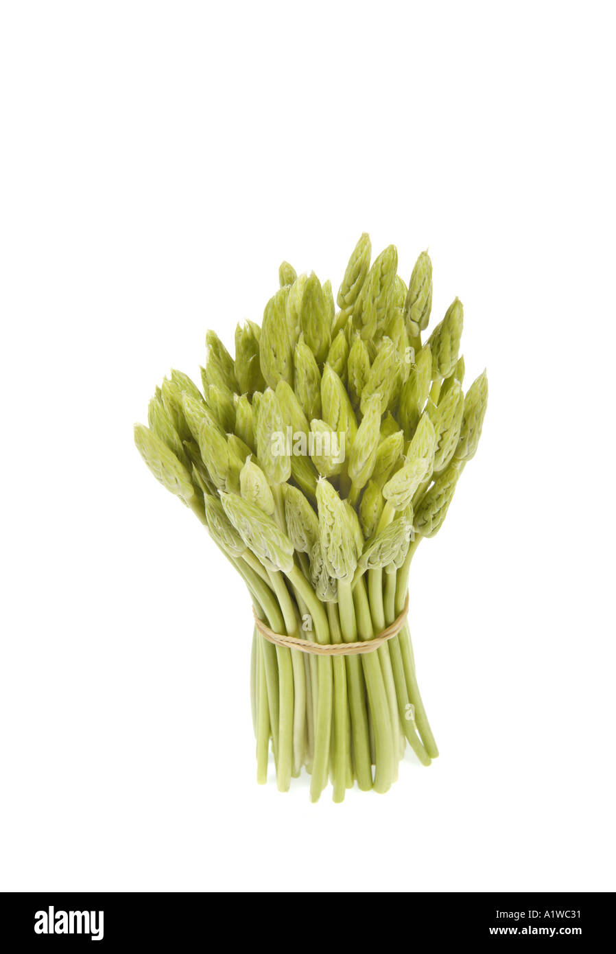 Frischer Spargel aus Frankreich kleine dünne Spargel- Stockfoto