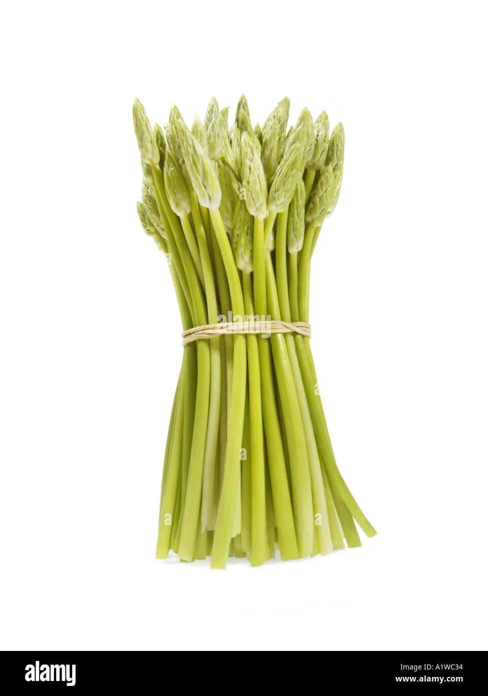 Frischer Spargel aus Frankreich kleine dünne Spargel- Stockfoto