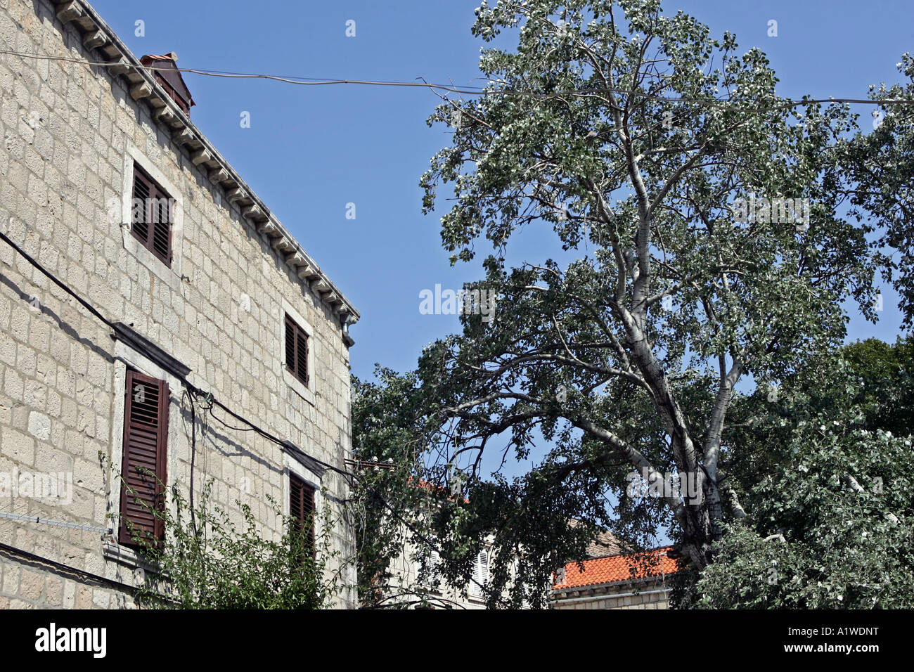 Cavtat Kroatien Stockfoto