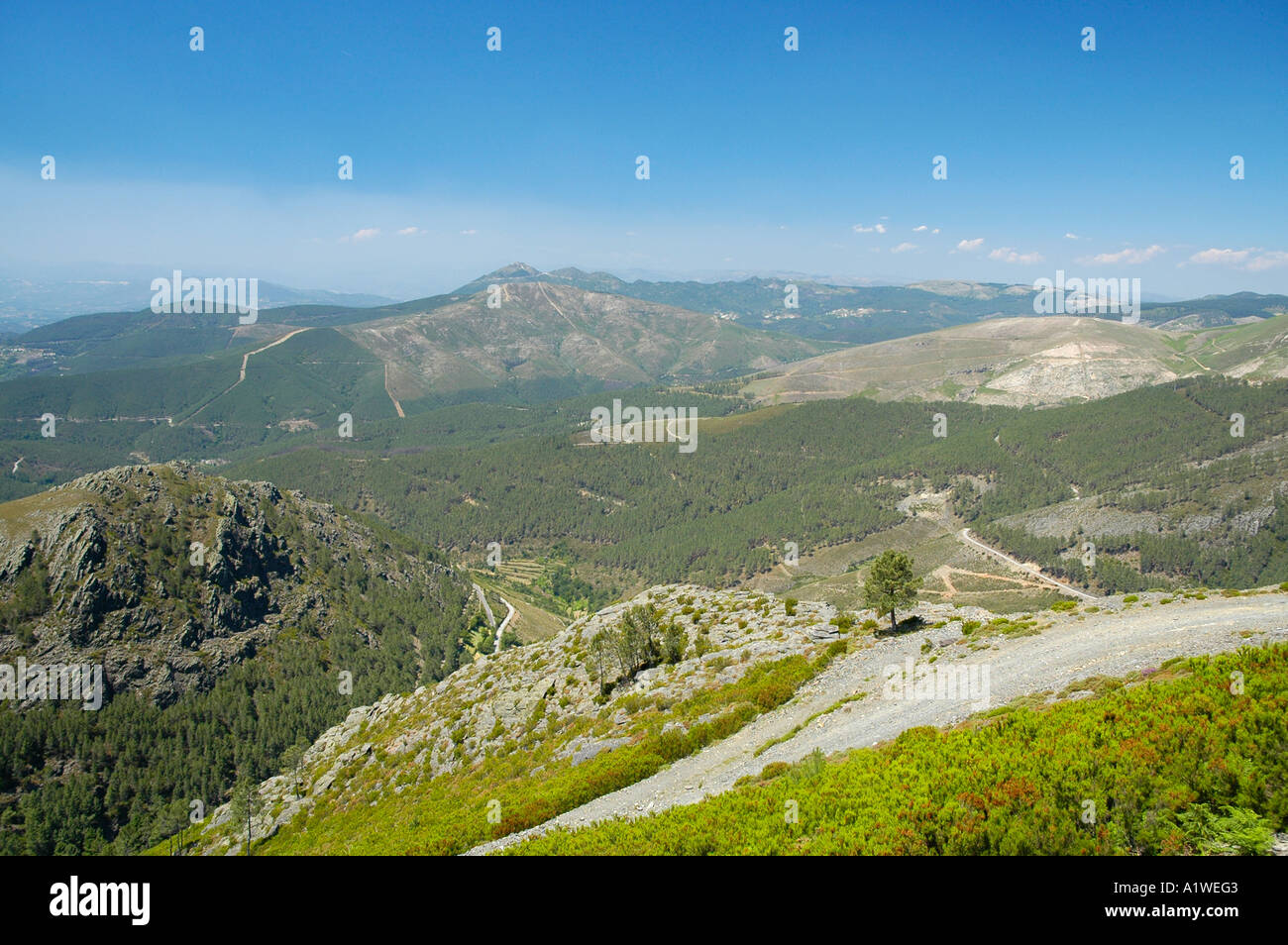 Berge, Alvao Naturparks, Portugal, Europa Stockfoto