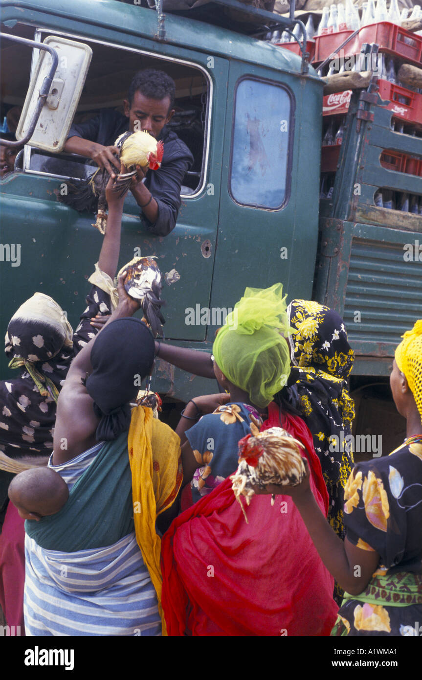 HAREGE ÄTHIOPIEN GRUPPE VON FRAUEN MIT BABY AN IHRE ZURÜCK VERKAUFEN KÜKEN AUF DER STRAßENSEITE DURCHGANGSVERKEHR GESCHNALLT Stockfoto