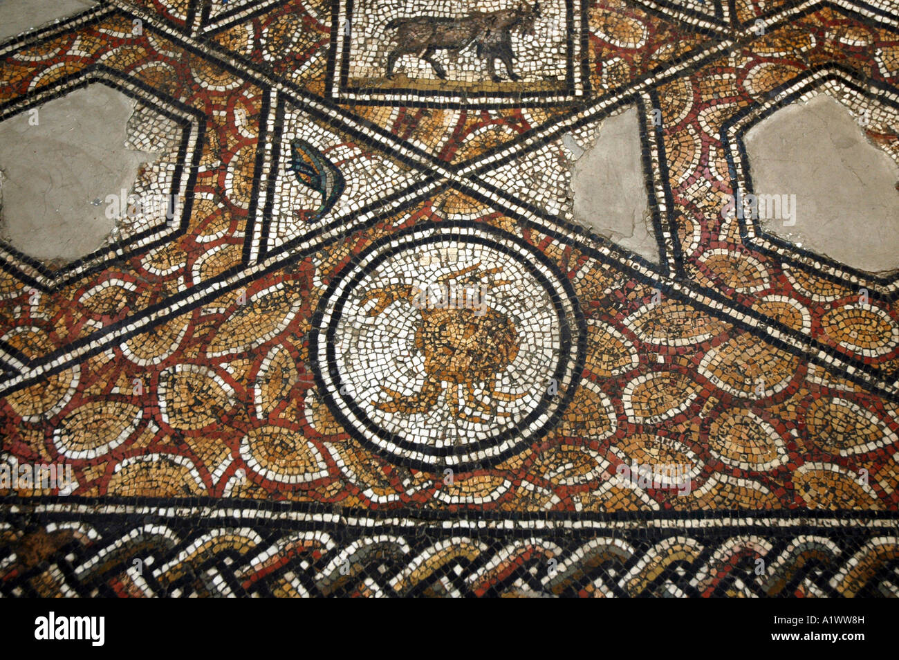 Krebs Horoskopzeichen auf römisches Mosaik in das Bardo-Museum in Tunis, Hauptstadt von Tunesien Stockfoto