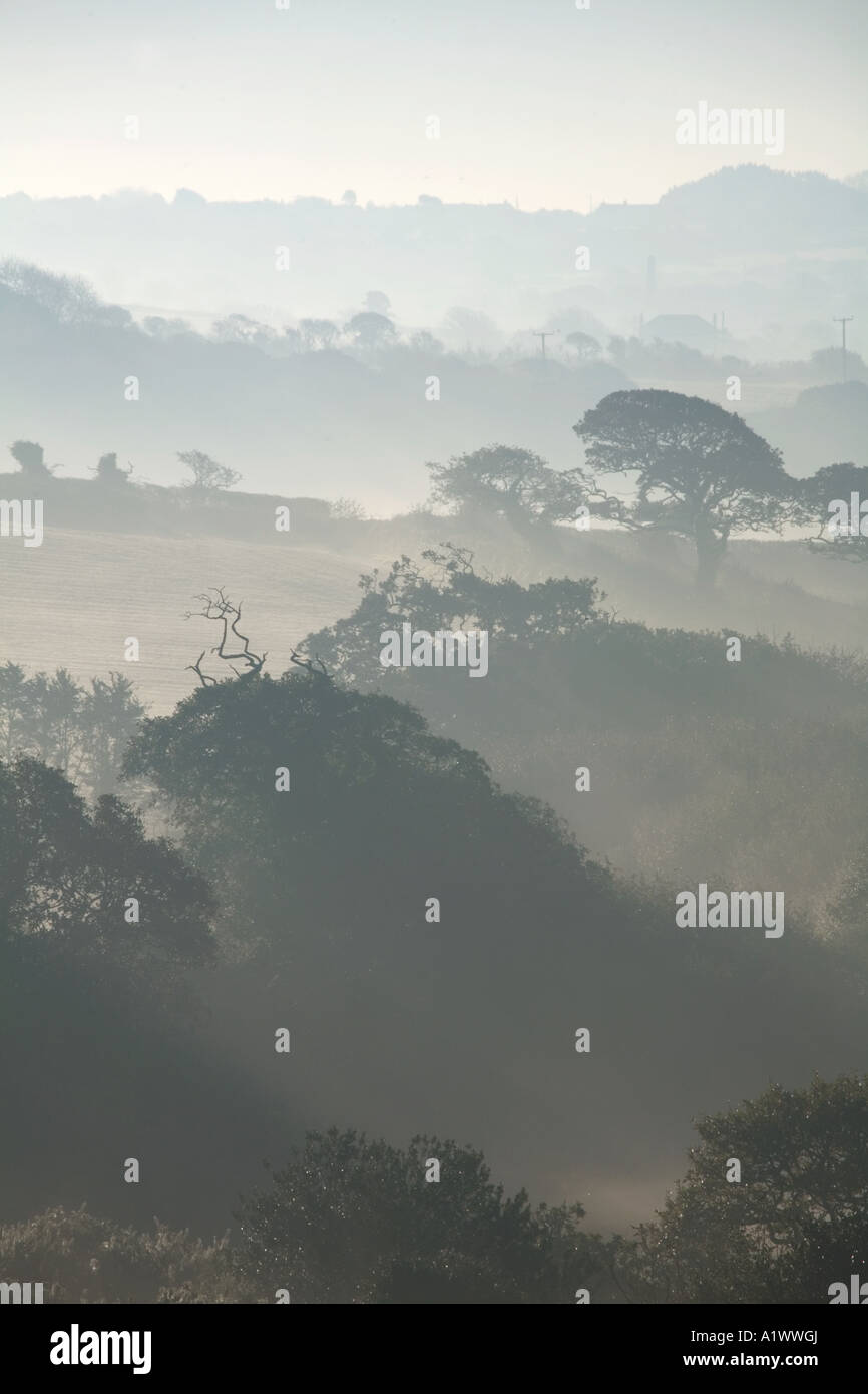 nebliger Morgen Blick von Paul s Grün mitten im Winter cornwall Stockfoto