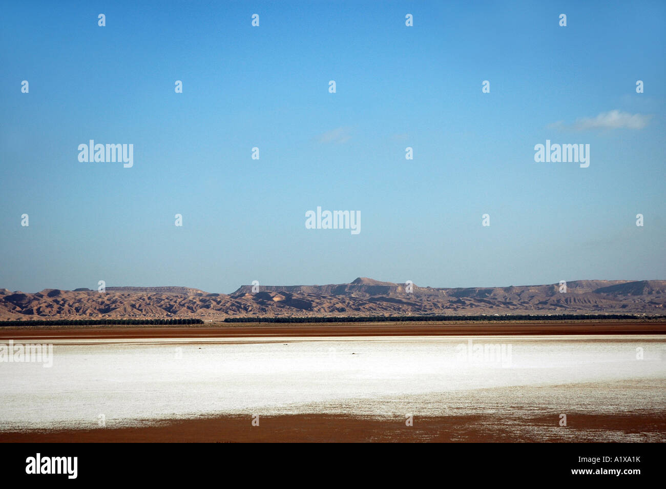 Chott el Jerid See in Tunesien Stockfoto