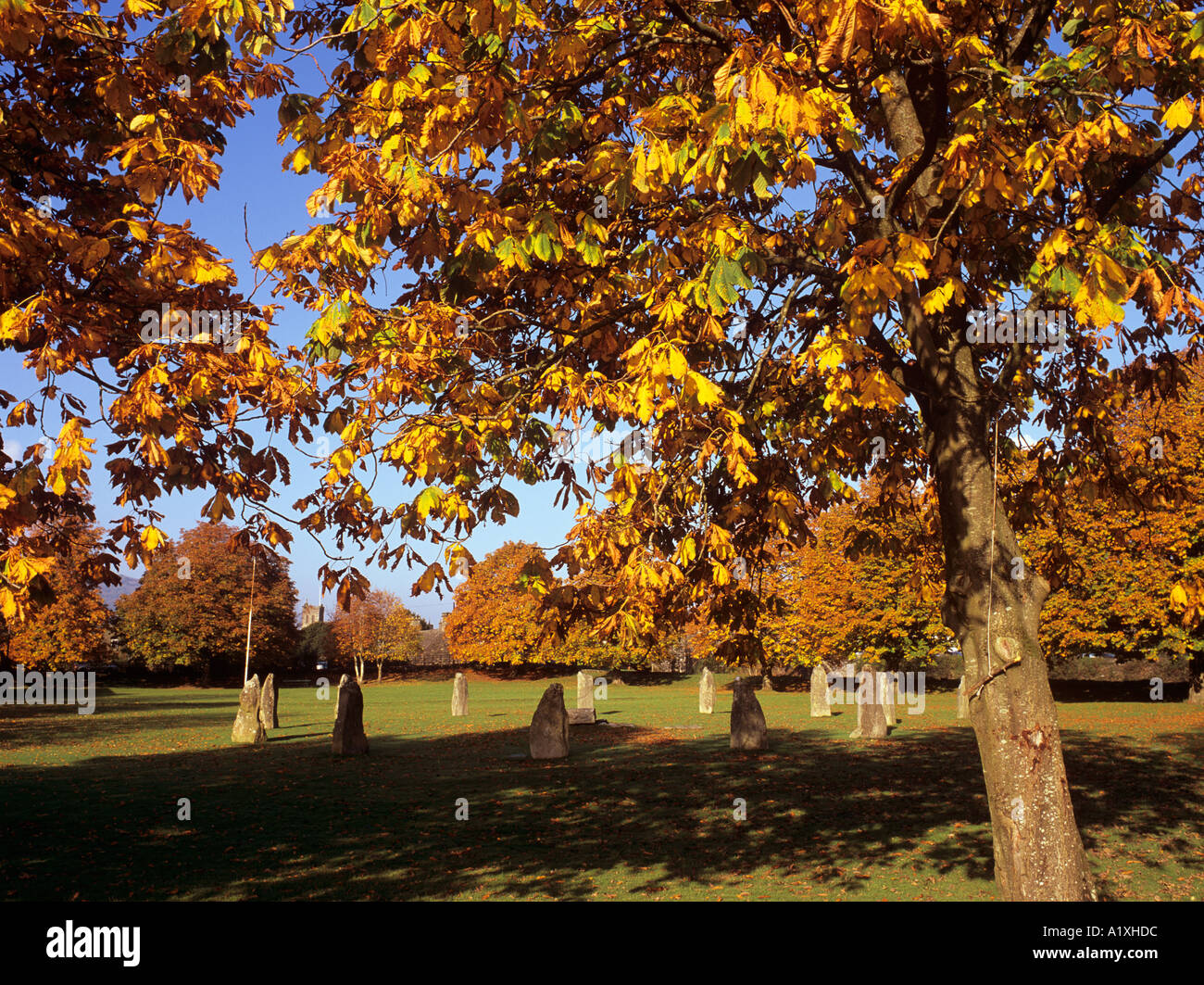 Gwydir Park im Herbst mit Goredd Steinkreis erbaut zum Gedenken an nationalen Eisteddford Romanum Conwy North Wales UK holding Stockfoto