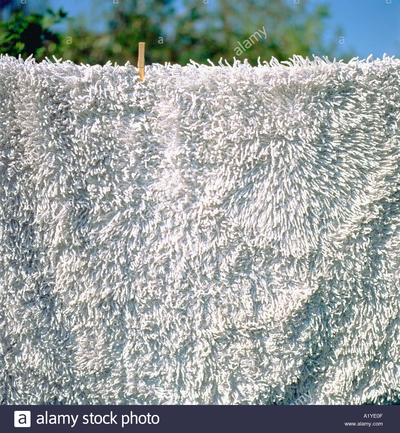 Weiße Shag Teppich mit Wäscheklammer an einer Wäscheleine UK KATHY DEWITT hängen Stockfoto