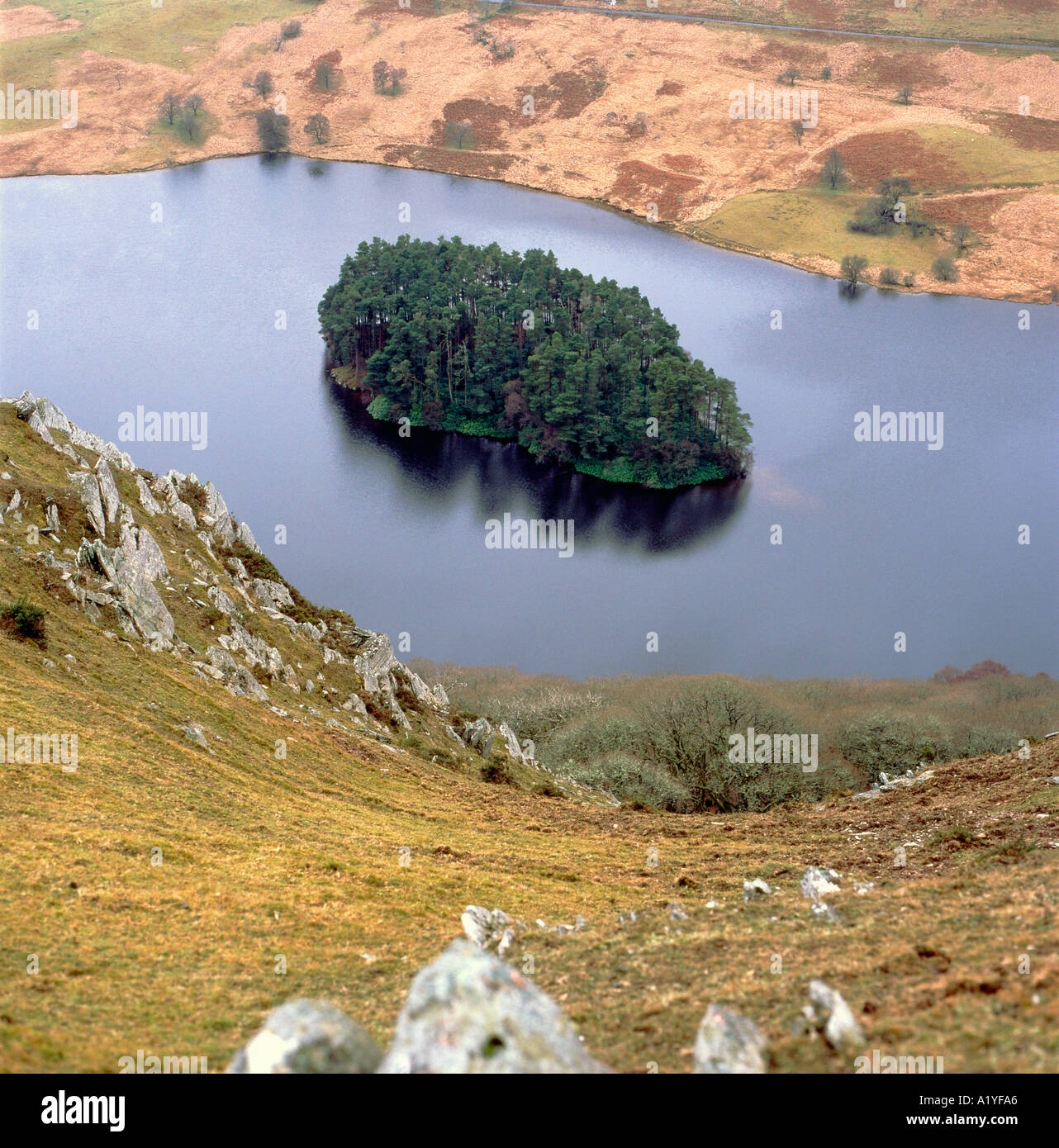 Bewaldete Insel in Pen y Garreg Reservoir Elan Valley Powys Mid Wales UK Stockfoto
