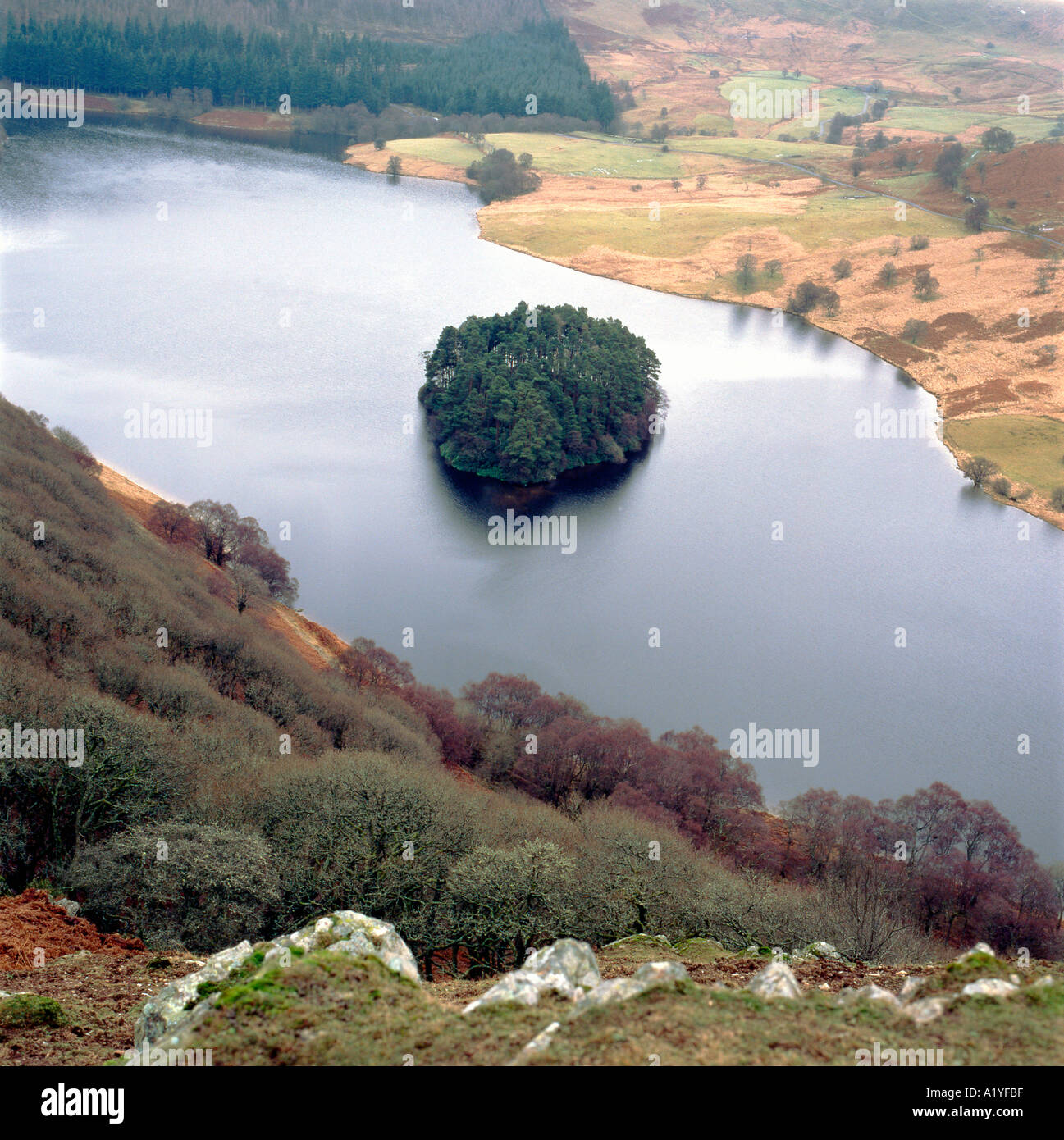 Bewaldete Insel in Pen y Garreg Reservoir Elan Valley Powys Mid Wales UK Stockfoto