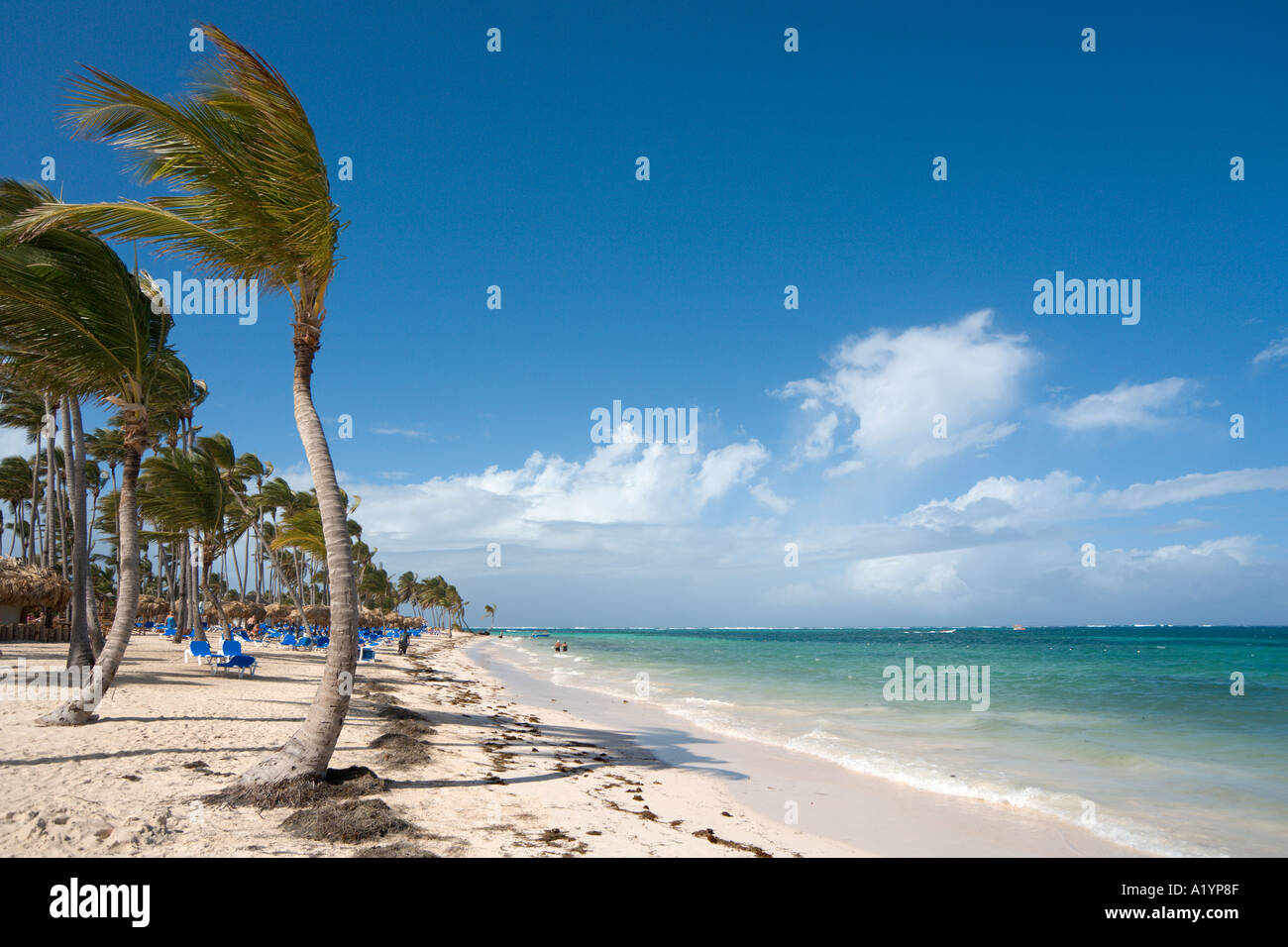 Bavaro Strand außerhalb Natura Park Hotel, Bavaro, Punta Cana, Dominikanische Republik Stockfoto