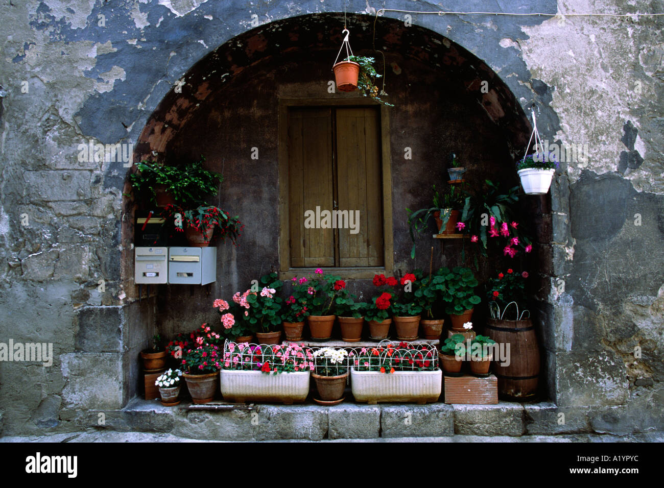 Eine Darstellung der Geranien auf ein Haus in der alten Stadt von Tarascon-Sur-Ariège, französischen Pyrenäen. Stockfoto