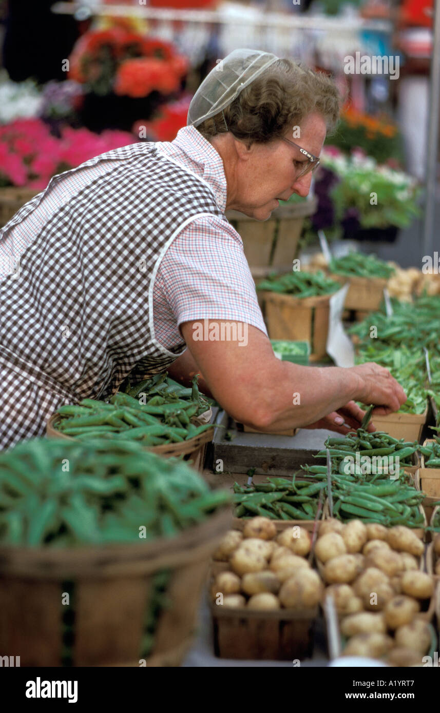 Mennonite Frau Motorhaube Schürze ordnet produzieren Gemüse auf Bauern Land Markt Lebensmittel Stand am Straßenrand Kartoffel Kartoffel Korb Stockfoto