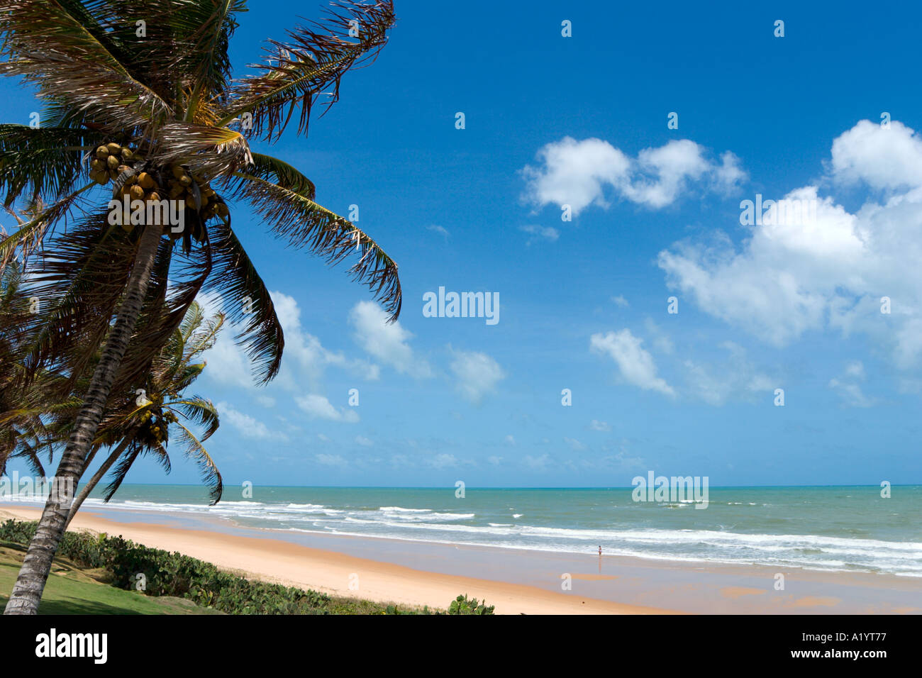 Strand in der Nähe der Hotel Vila Do Mar, Via Costeira, Natal, Rio Grande do Norte, Brasilien Stockfoto