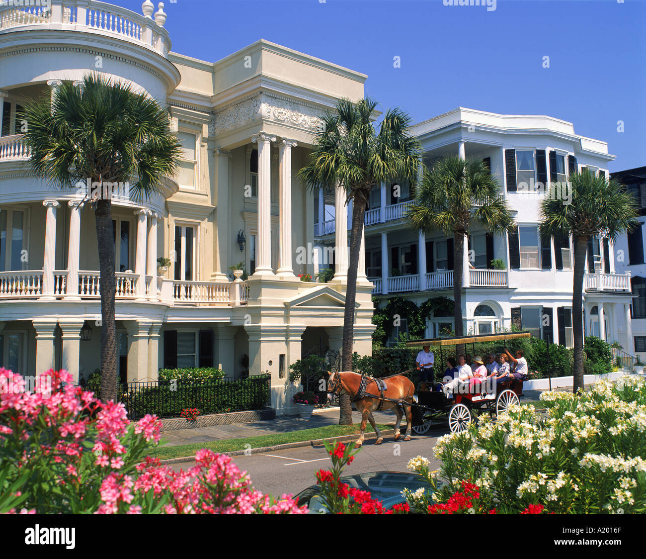 Touristen in Pferd gezogenen Fahrzeug anzeigen große Häuser im Osten Batterie Charleston South Carolina USA G R Richardson Stockfoto