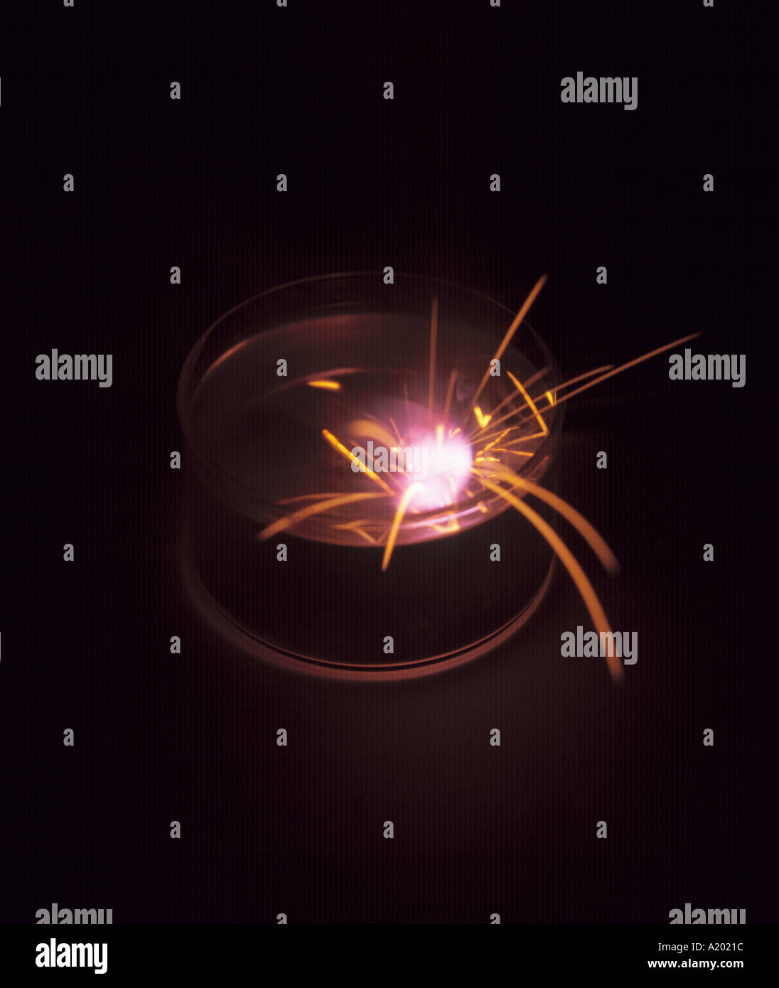 Kalium reagiert heftig mit Wasser, erzeugt Funken und eine hellviolette Flamme, was die hochreaktive Natur von Alkalimetallen verdeutlicht. Stockfoto