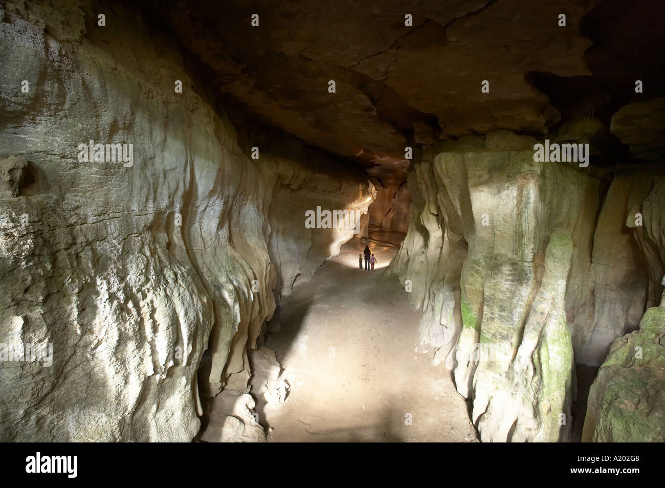 Box Canyon Höhle Oparara Becken in der Nähe von Karamea Kahurangi Nationalpark Westküste Südinsel Neuseeland Stockfoto