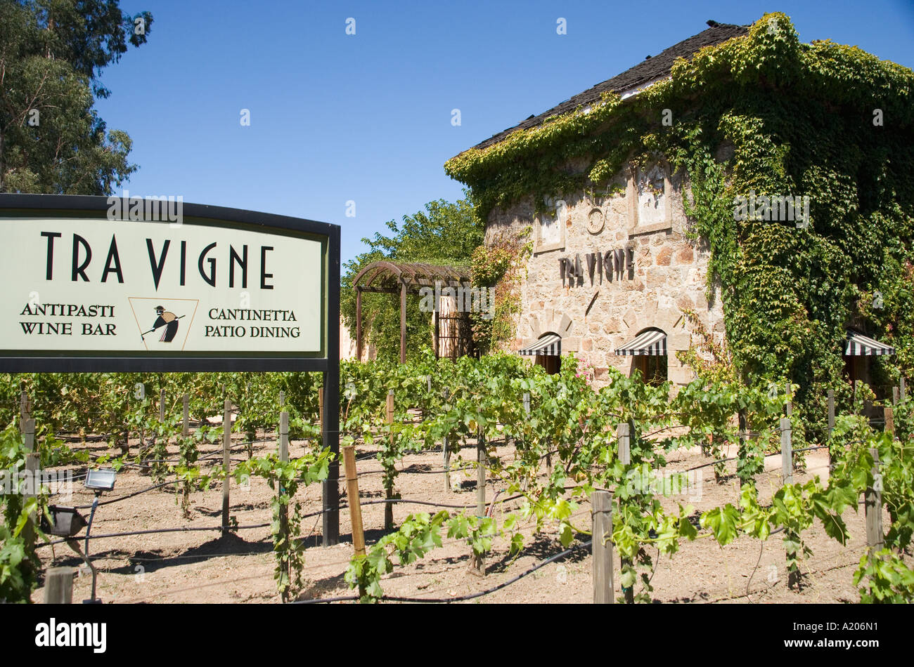 Tra Vigne Restaurant und Antipasti-Bar St Helena Napa Valley in Kalifornien Stockfoto