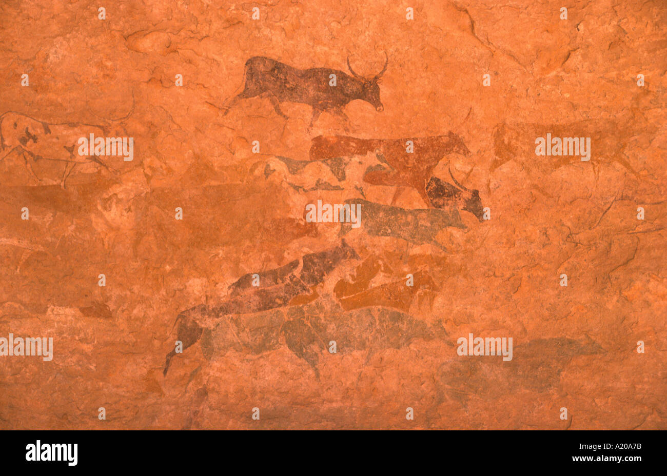 Fresken von Felszeichnungen an Jabbaren Tassili N Ajjer Hochebene Sahara Wüste Algerien Bovidian Periode Stockfoto