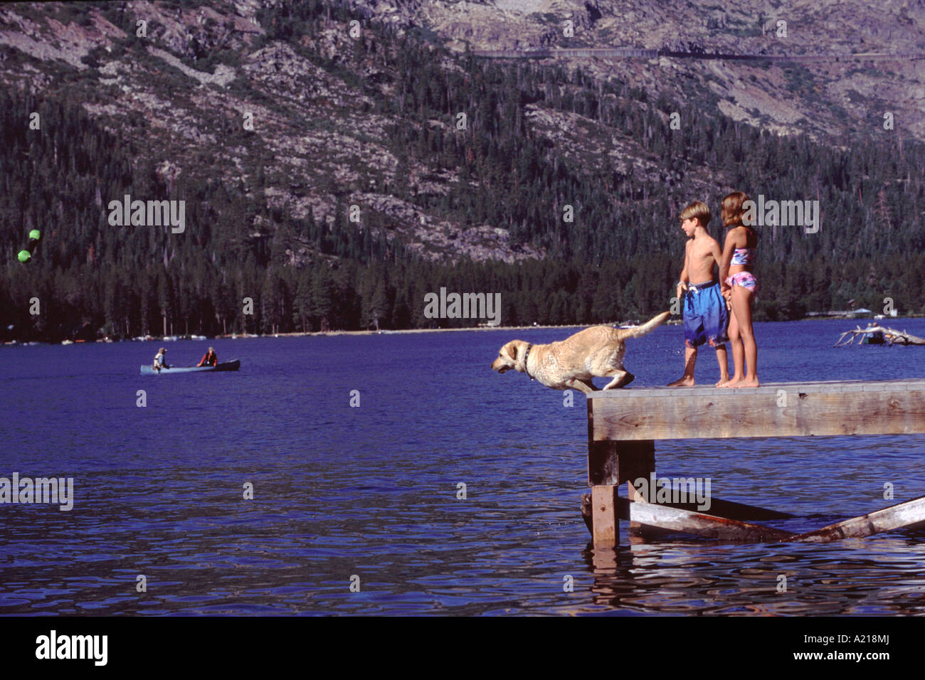 Zwei Kinder und einen springenden Hund auf Donner Lake Kalifornien Stockfoto