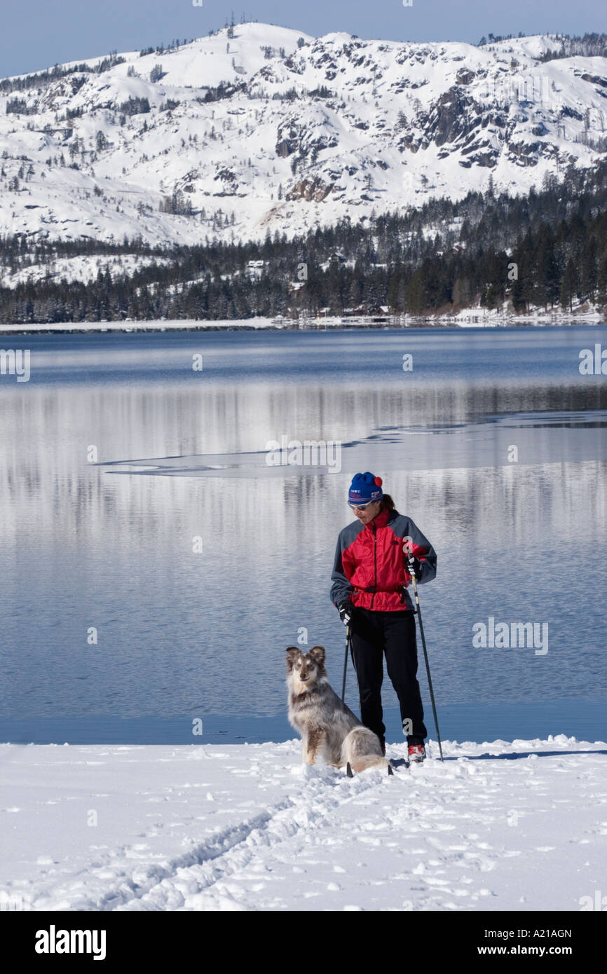 Eine Frau und Hund Skifahren auf dem Ufer des Donner-See im Winter bei Truckee, Kalifornien Stockfoto