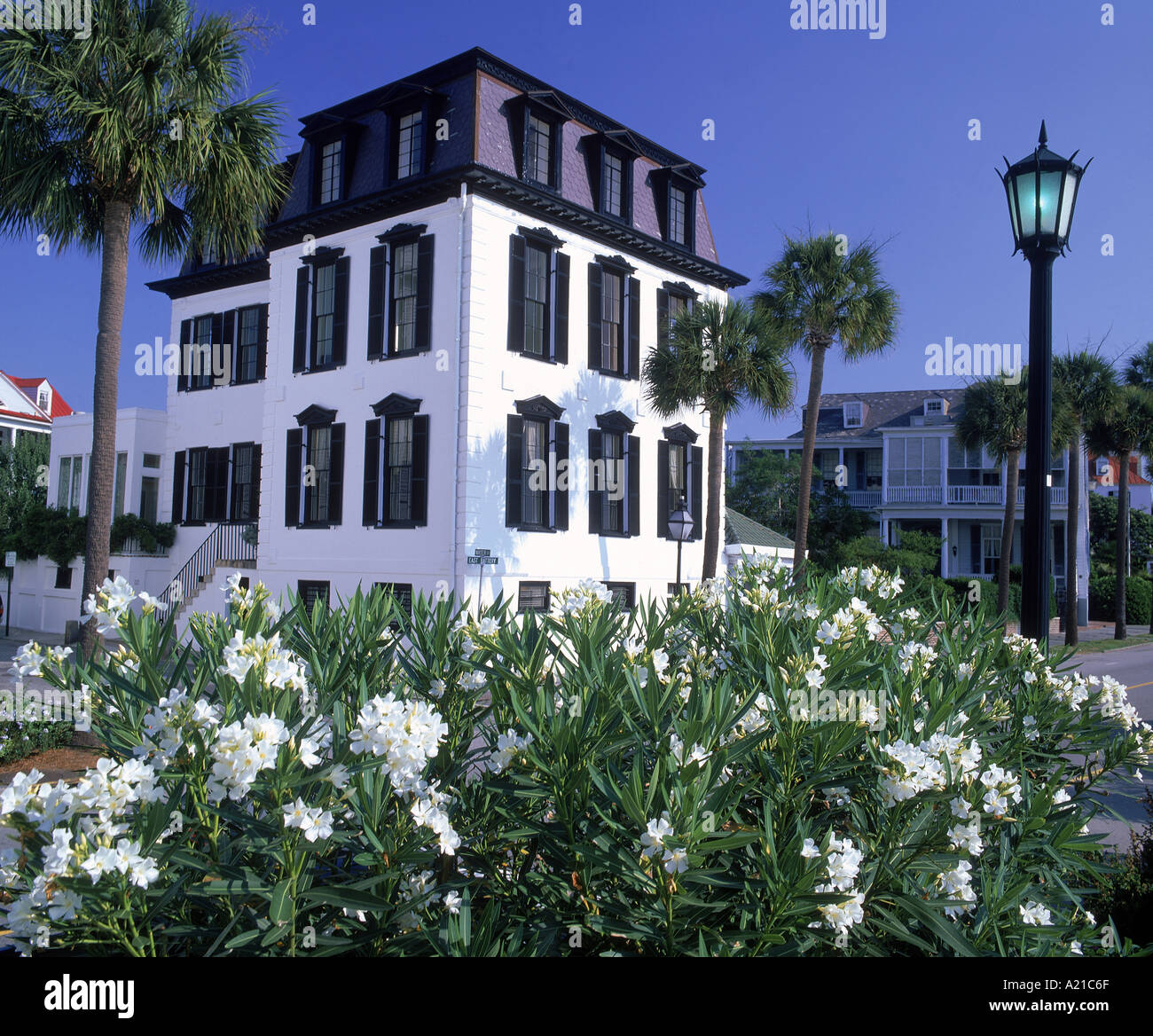 Charleston South Carolina U S A D Maxwell Altstadt Stockfoto