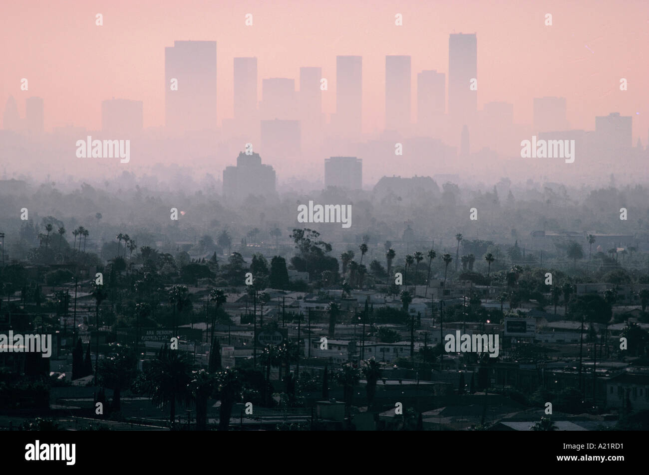 Am frühen Morgen Smog über Los Angeles hängen Stockfoto