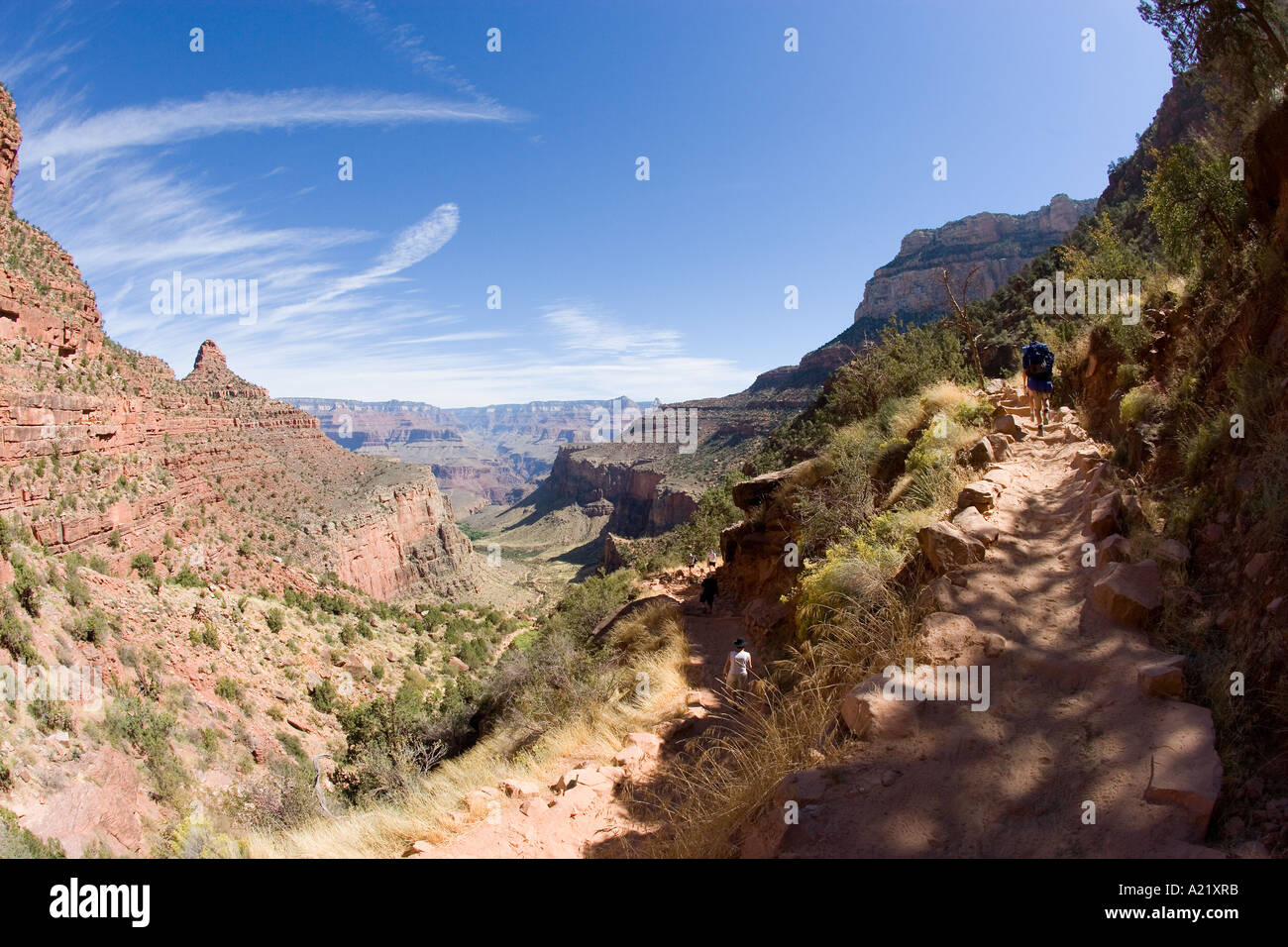 Bright Angel Trail Colorado River Grand Canyon Arizona USA Stockfoto