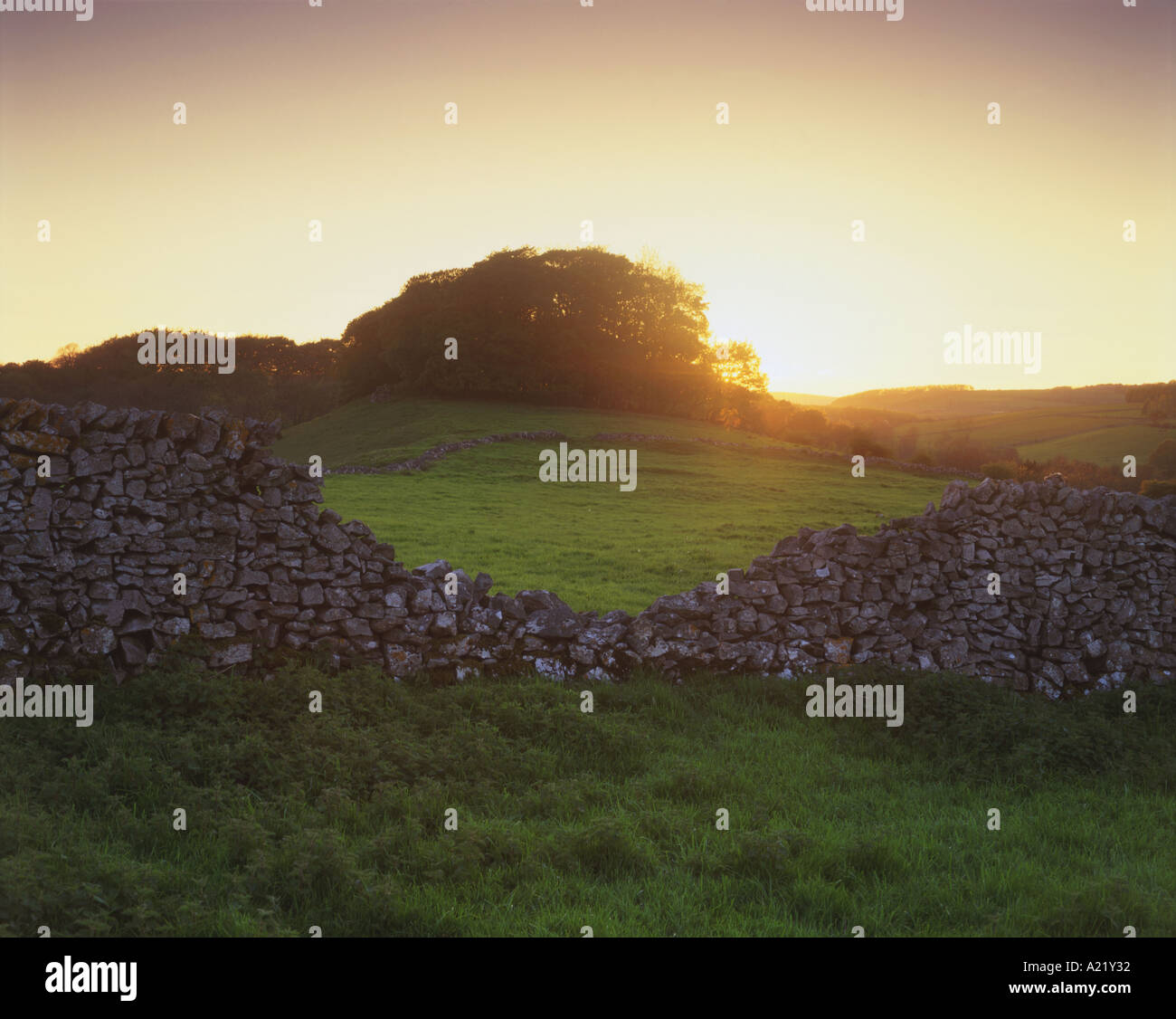 Mittsommer-Tag in der Nähe von Chee Dale Peak District National Park Stockfoto