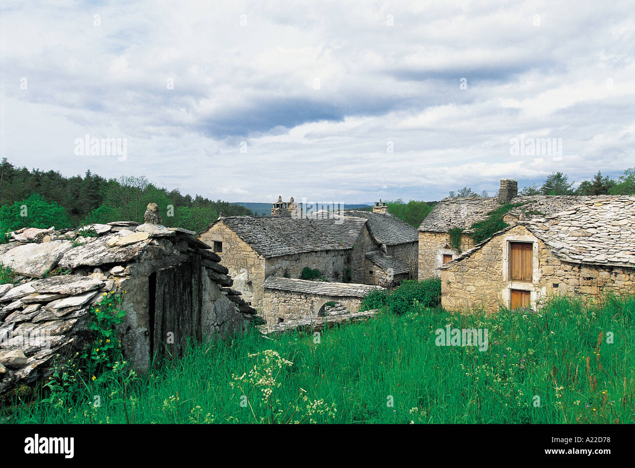 Frankreich Aveyron Causse Noir La Roujarie Stein gebaut Bauernhof S Grandadam Stockfoto