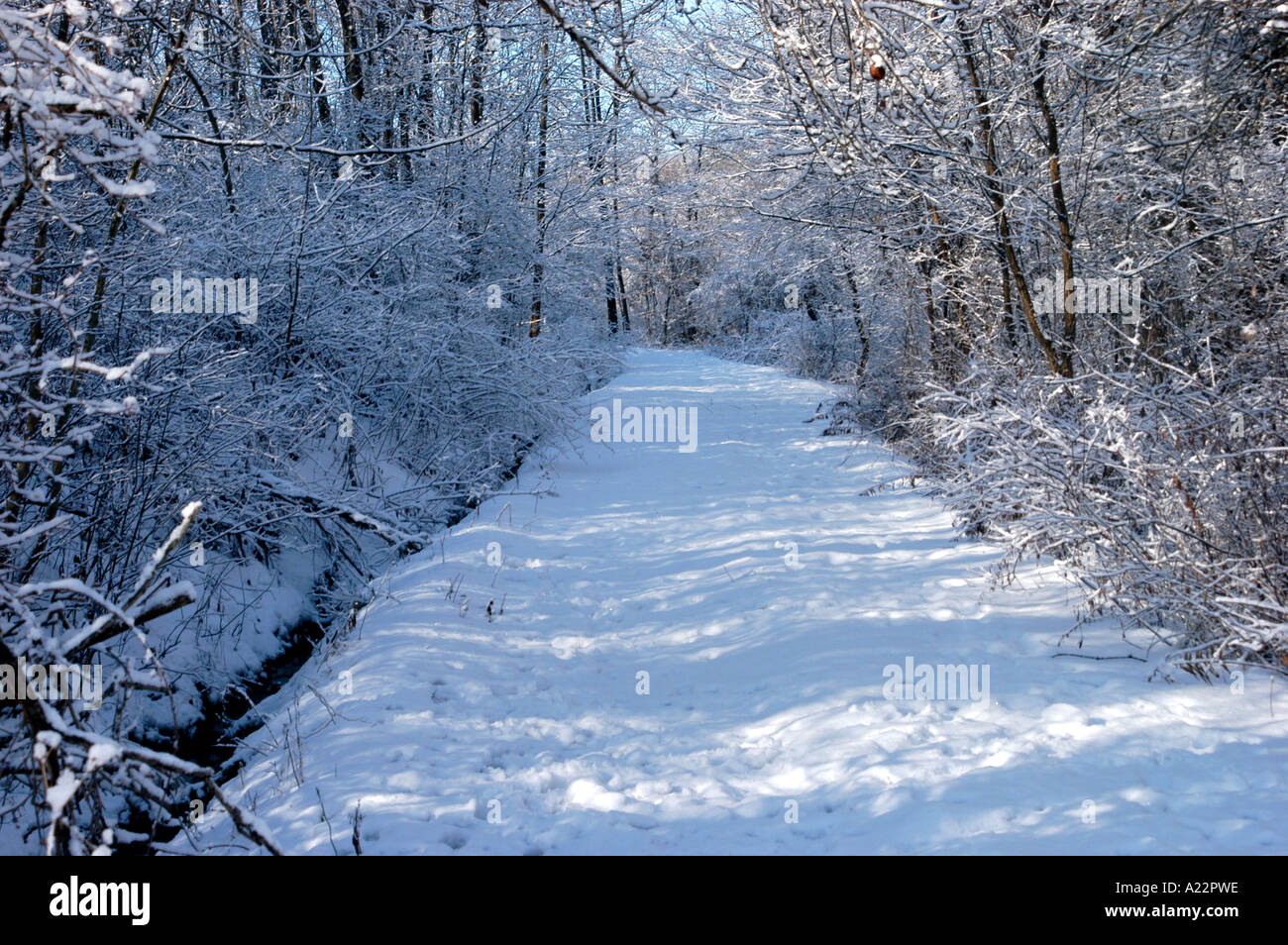 Schnee gefüllte Bauernhof Weg schneiden eine Schneise durch einen Laubwald USA (Osten). Stockfoto