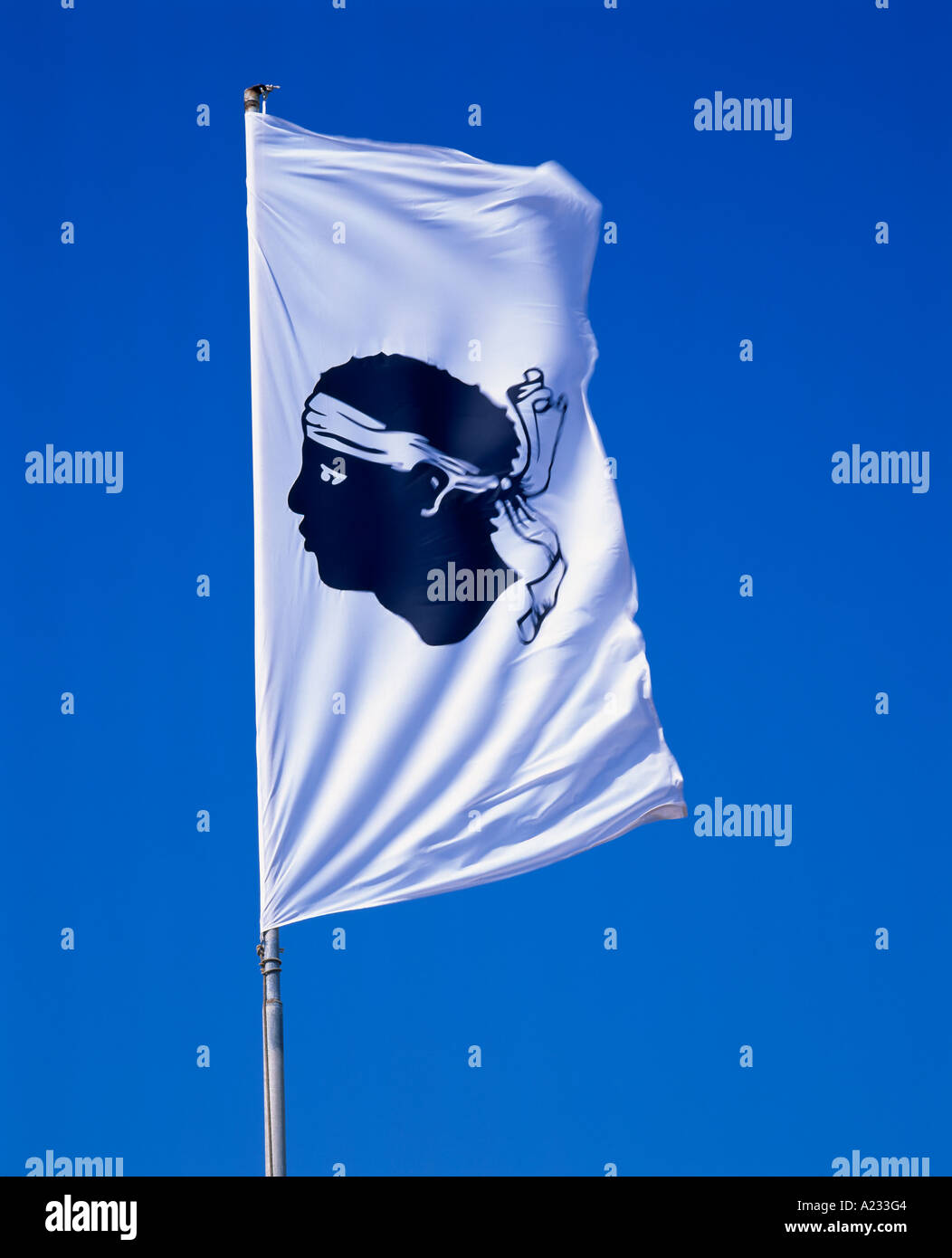 Mauren Kopf Flagge bei Bonifacio, Corse-du-Sud, Korsika, Frankreich Stockfoto