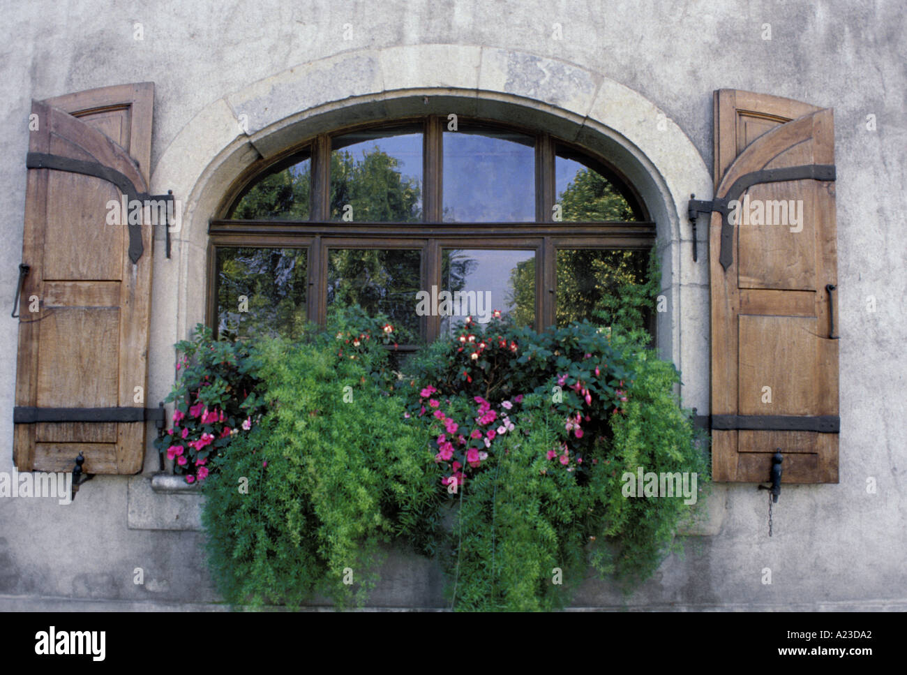 Gebogene Fenster mit antiken Klappläden und Blumenkasten und Pflanzen der  Schweiz Stockfotografie - Alamy