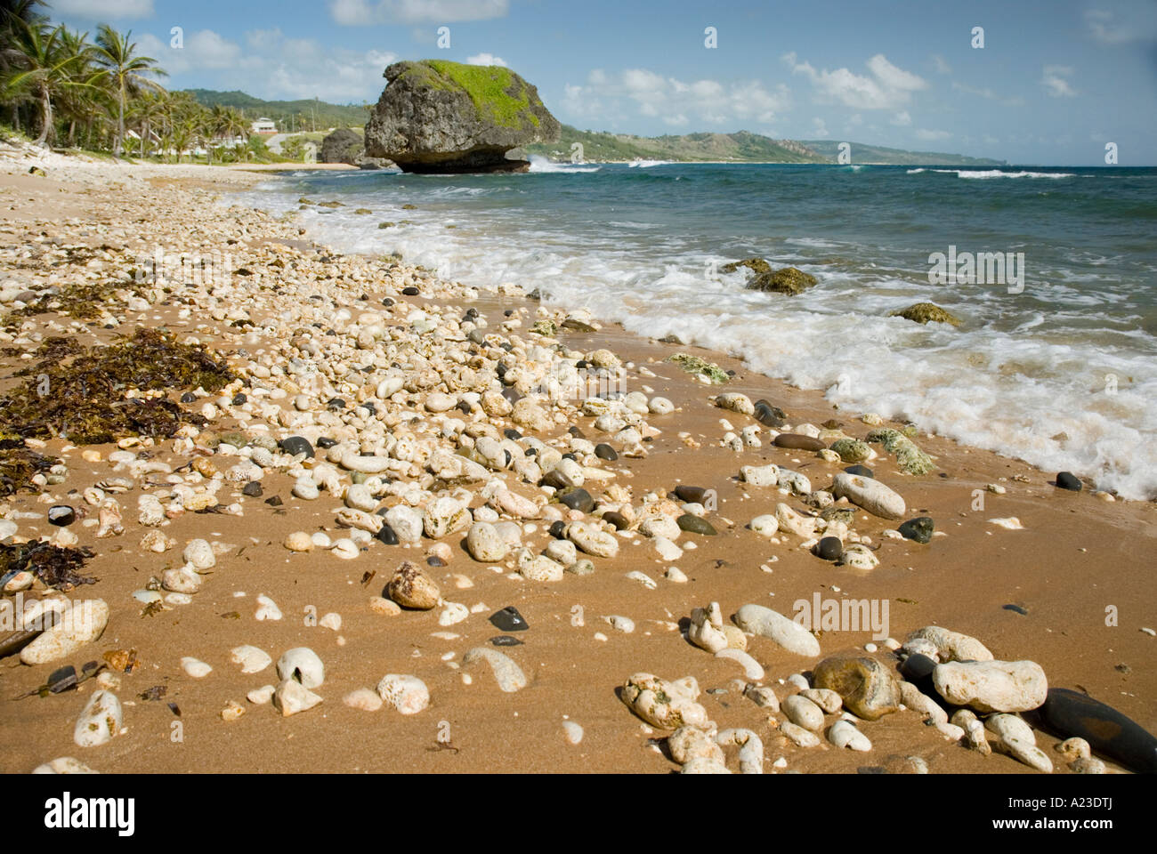 Surf-Breaks auf Stein bedeckt Strand, Bathseba, St. Joseph, Barbados, 8/06 Stockfoto