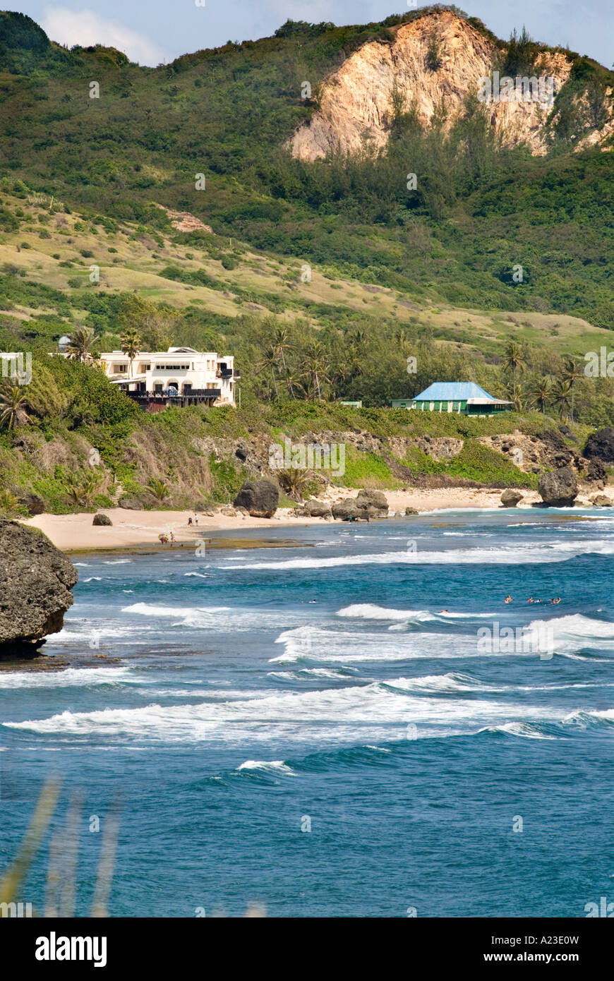 Klippen über Bathseba Bay, St. Joseph, Barbados, 8/06 Stockfoto