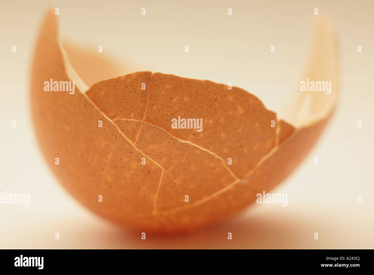 Eierschale gebrochen Stockfoto