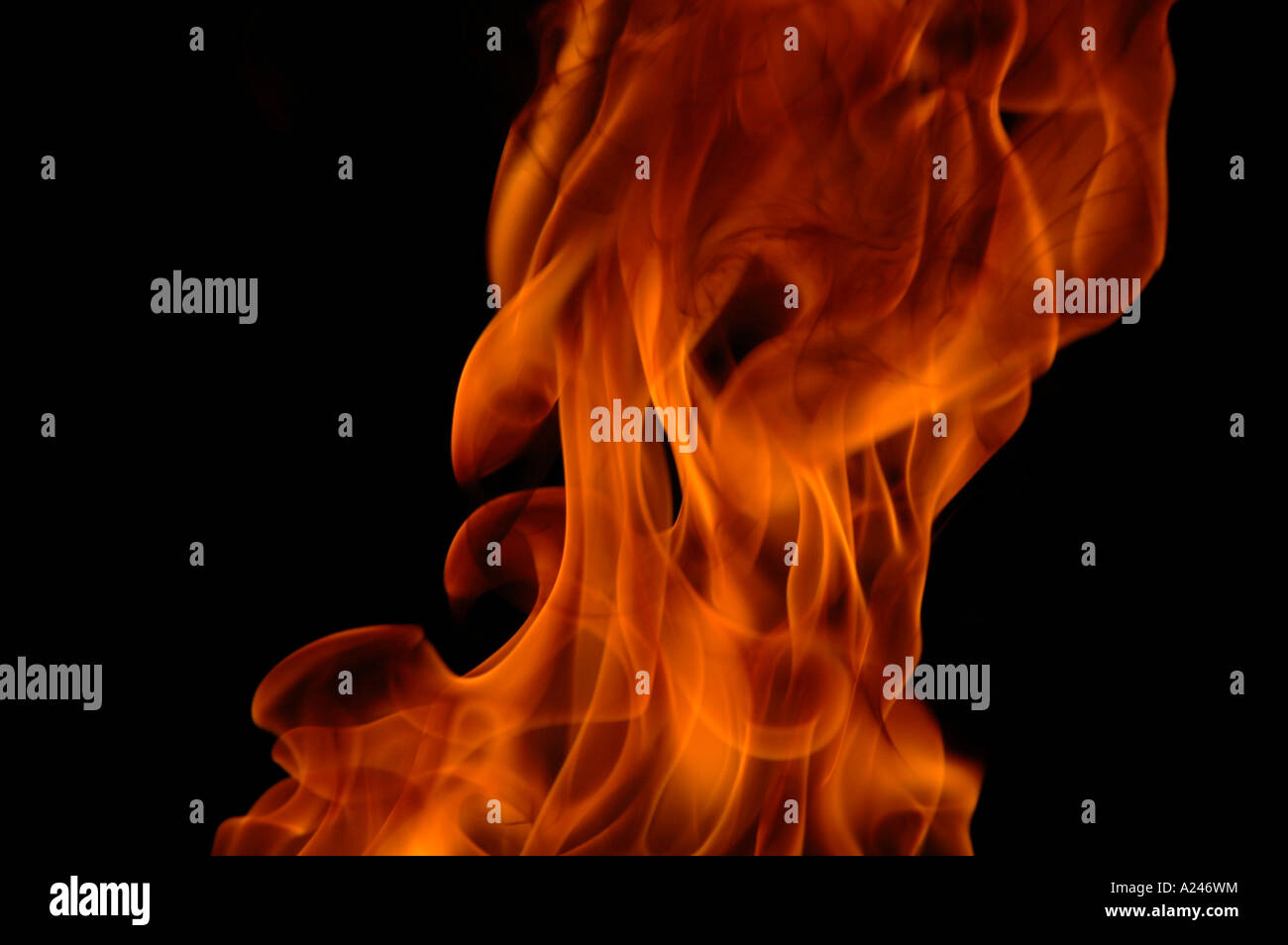Feuer Flammen vor schwarzem Hintergrund Stockfoto