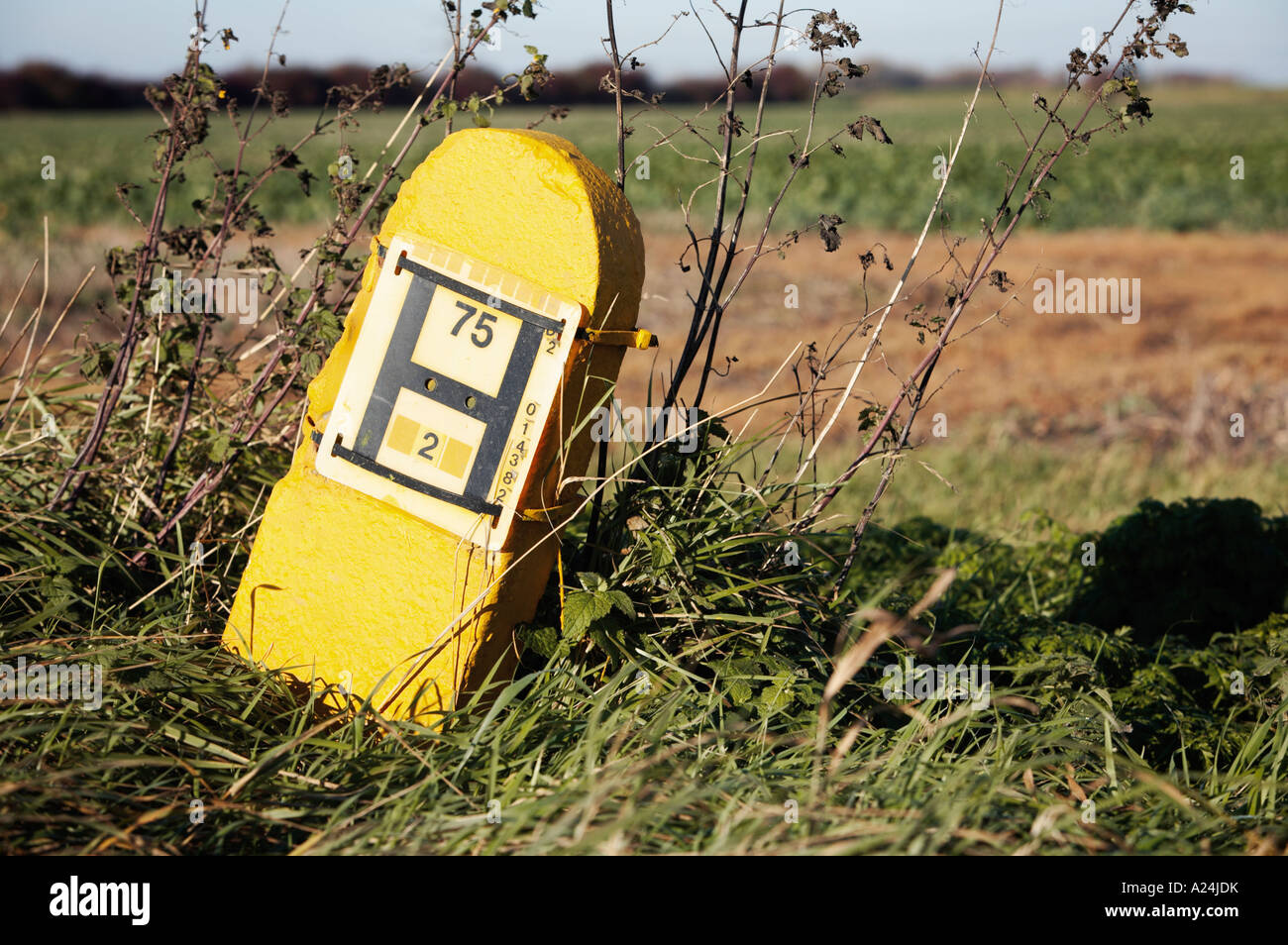 Alte gelbe Hauptwasserleitung Indikator Plaque im ländlichen England UK Stockfoto