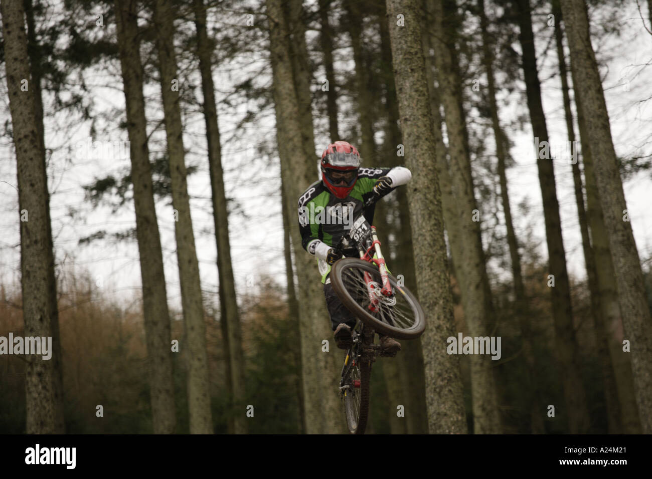 Schottland Mountainbike downhill bei Ae Wald sieben Stanes National Punkte-Serie Stockfoto