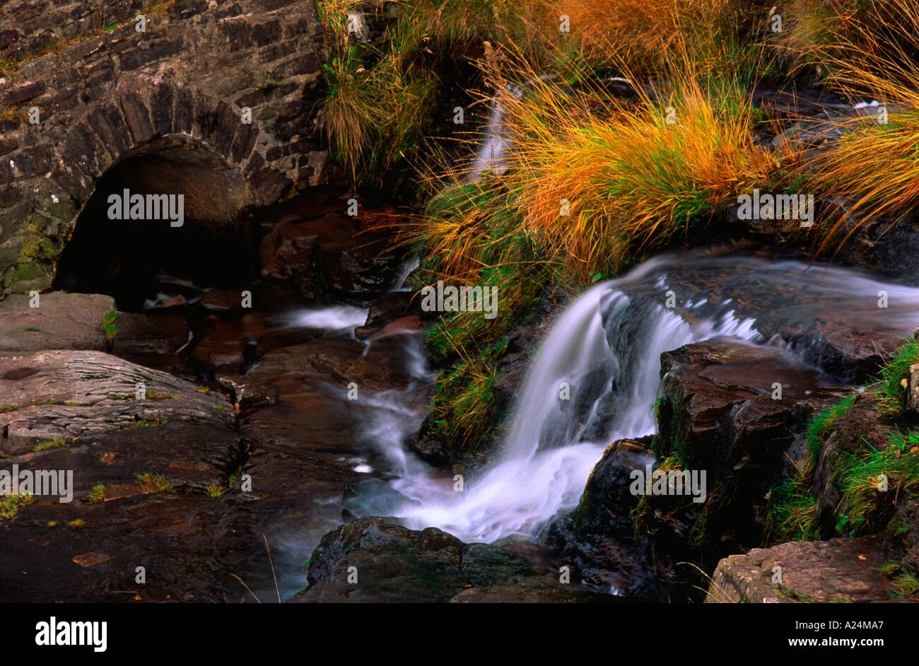 Wasserfall in Brecon Beacons Wales Großbritannien Stockfoto