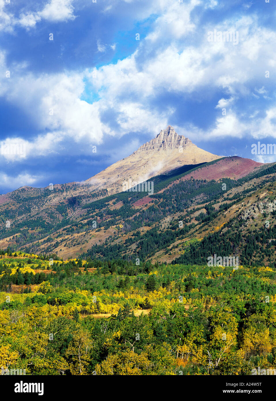 Mountain Vista Herbst Herbst Waterton Lakes Nationalpark Kanada Kanada Stockfoto