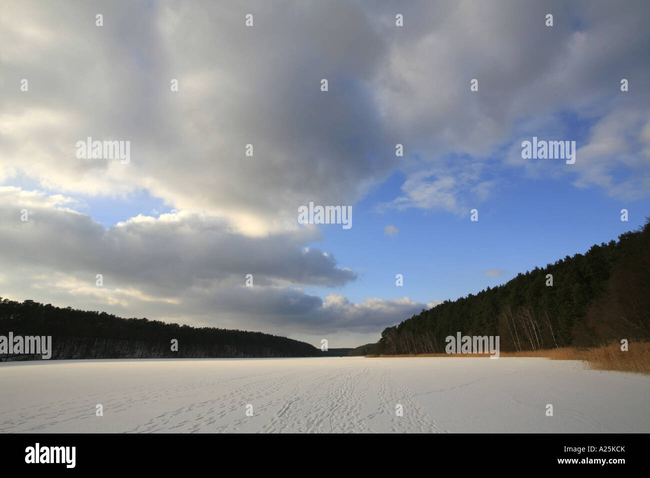 gefrorenen See Roofen, Deutschland, Brandenburg, Menz Stockfoto